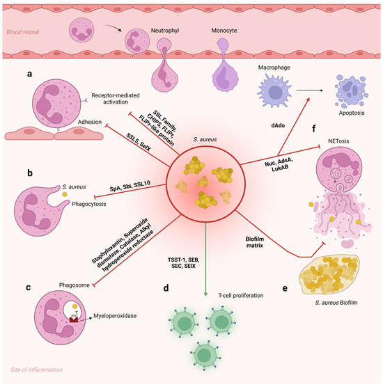 Pathogens 14 00185 g004