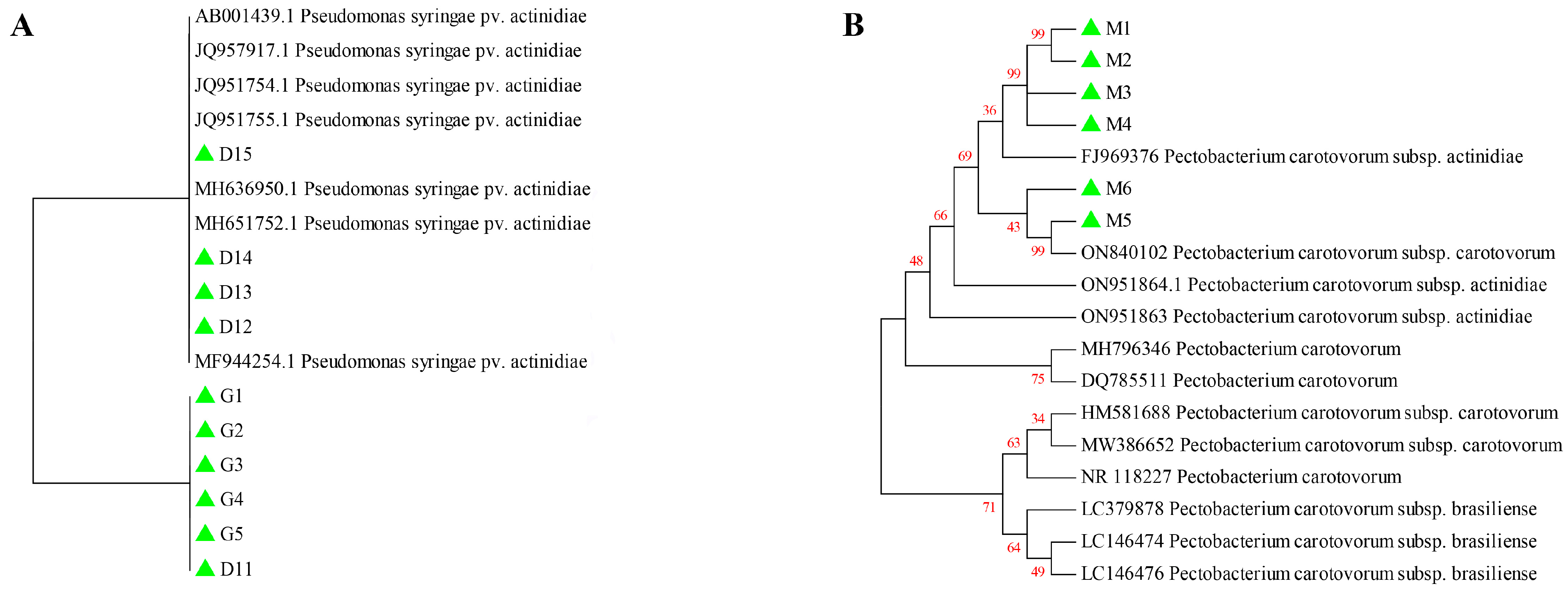 Pathogens 14 00191 g002