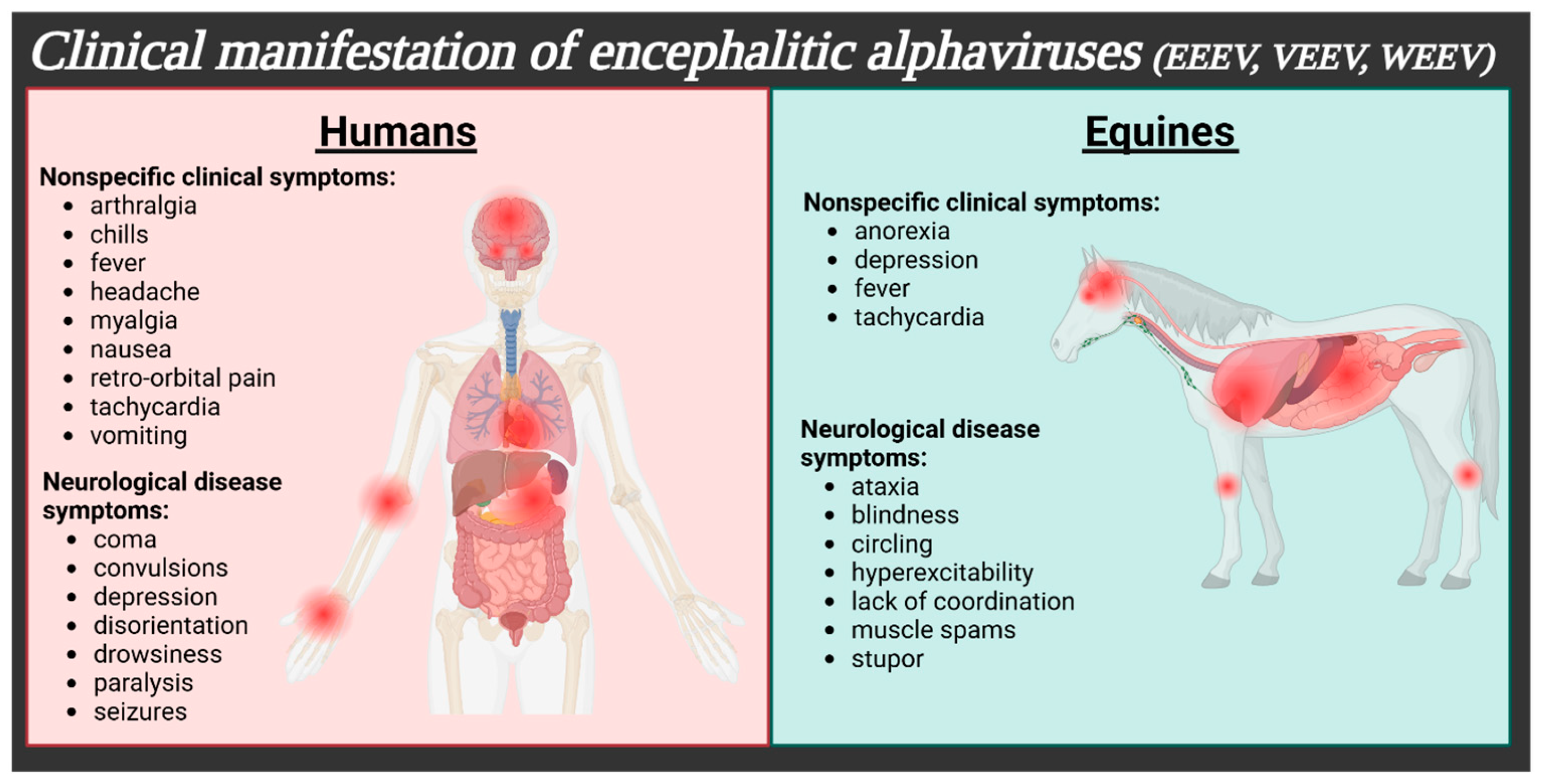 Pathogens 14 00193 g001 Pathogens 14 00193 g001