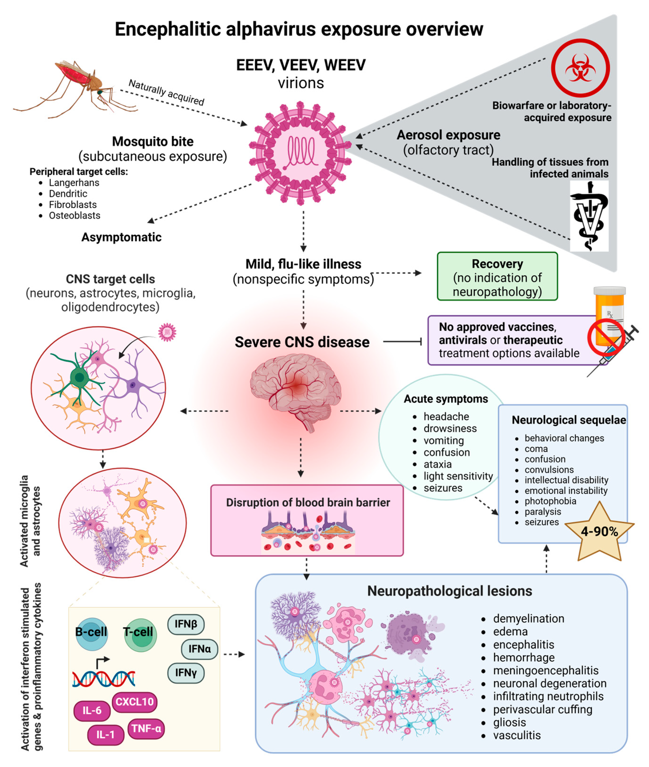 Pathogens 14 00193 g003 Pathogens 14 00193 g003