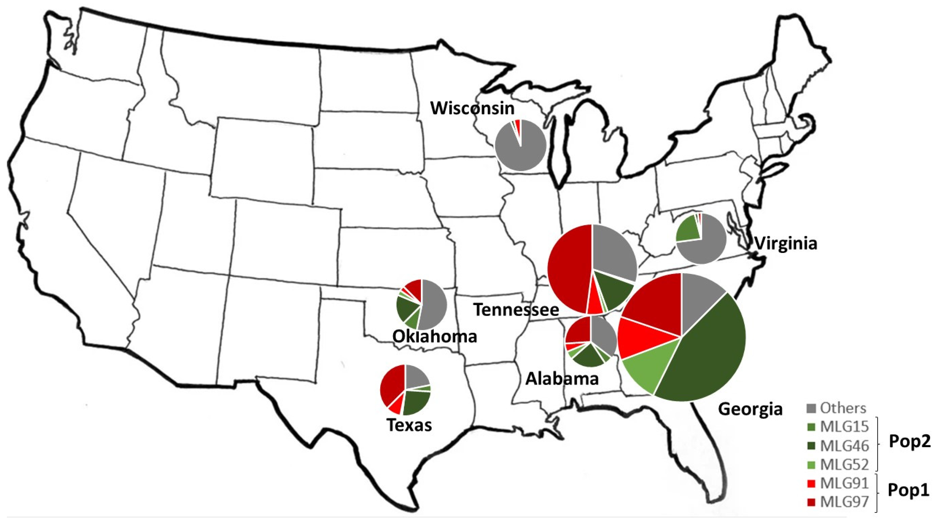 Pathogens 14 00194 g001 Pathogens 14 00194 g001