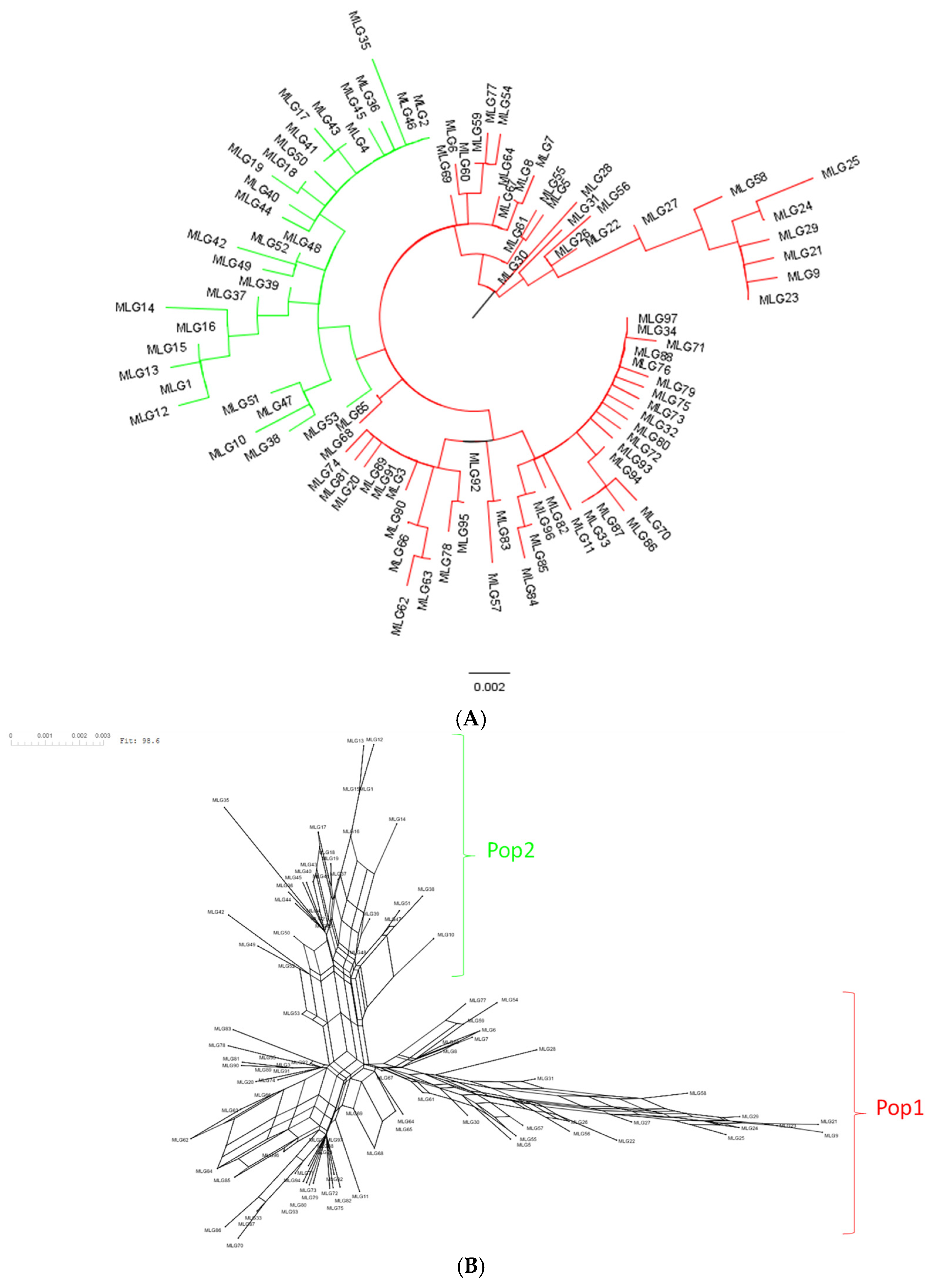 Pathogens 14 00194 g003 Pathogens 14 00194 g003