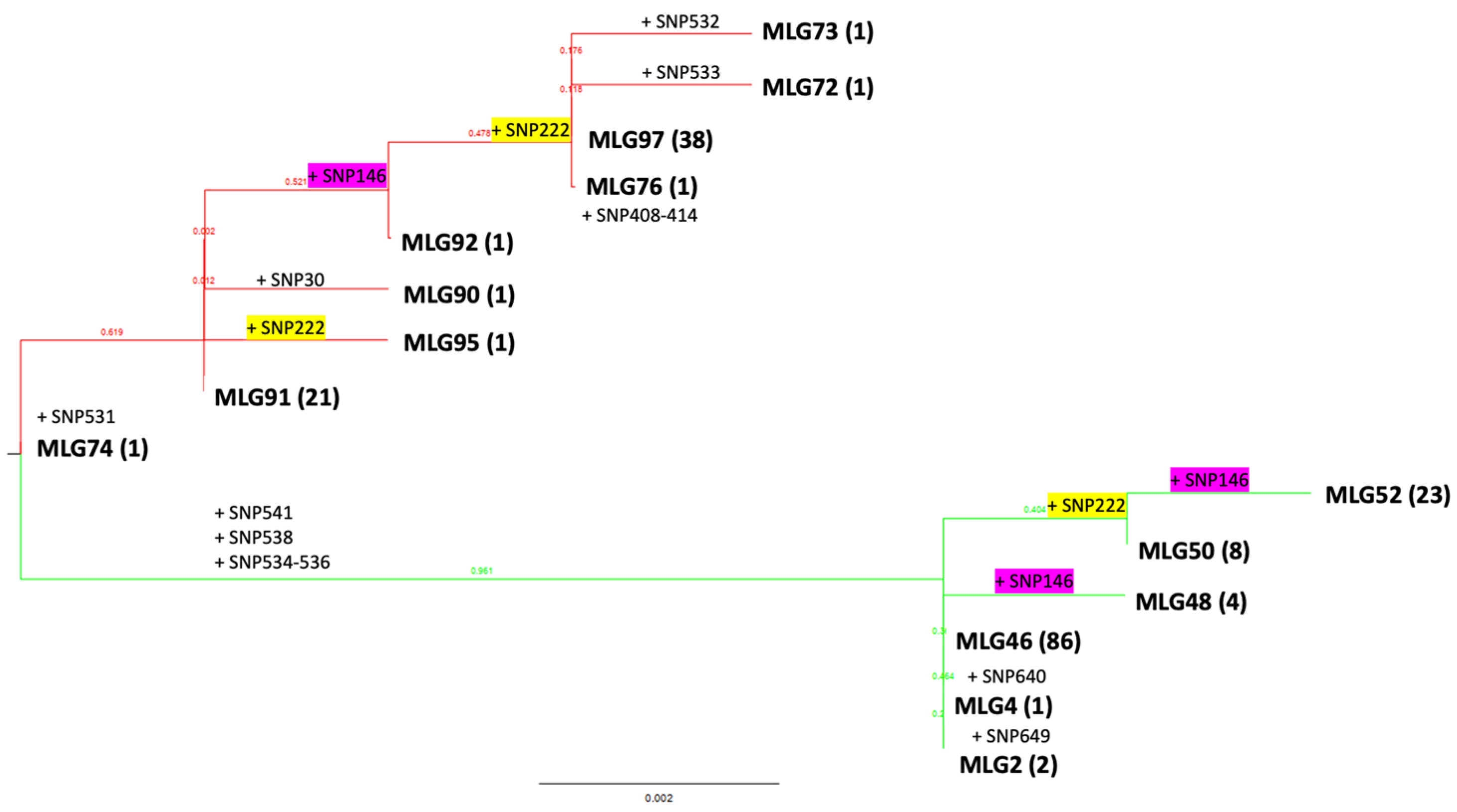 Pathogens 14 00194 g005 Pathogens 14 00194 g005