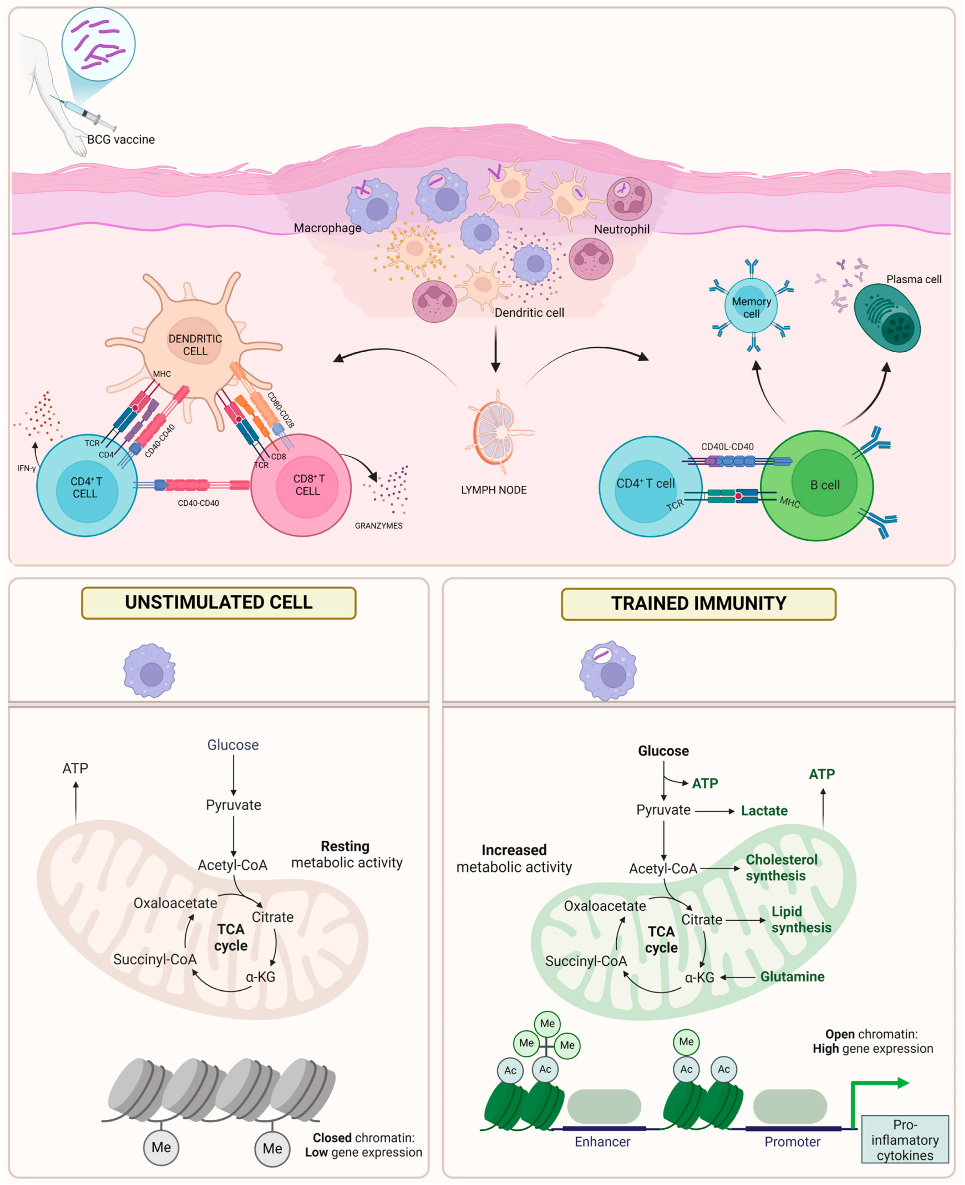 Pathogens 14 00196 g001