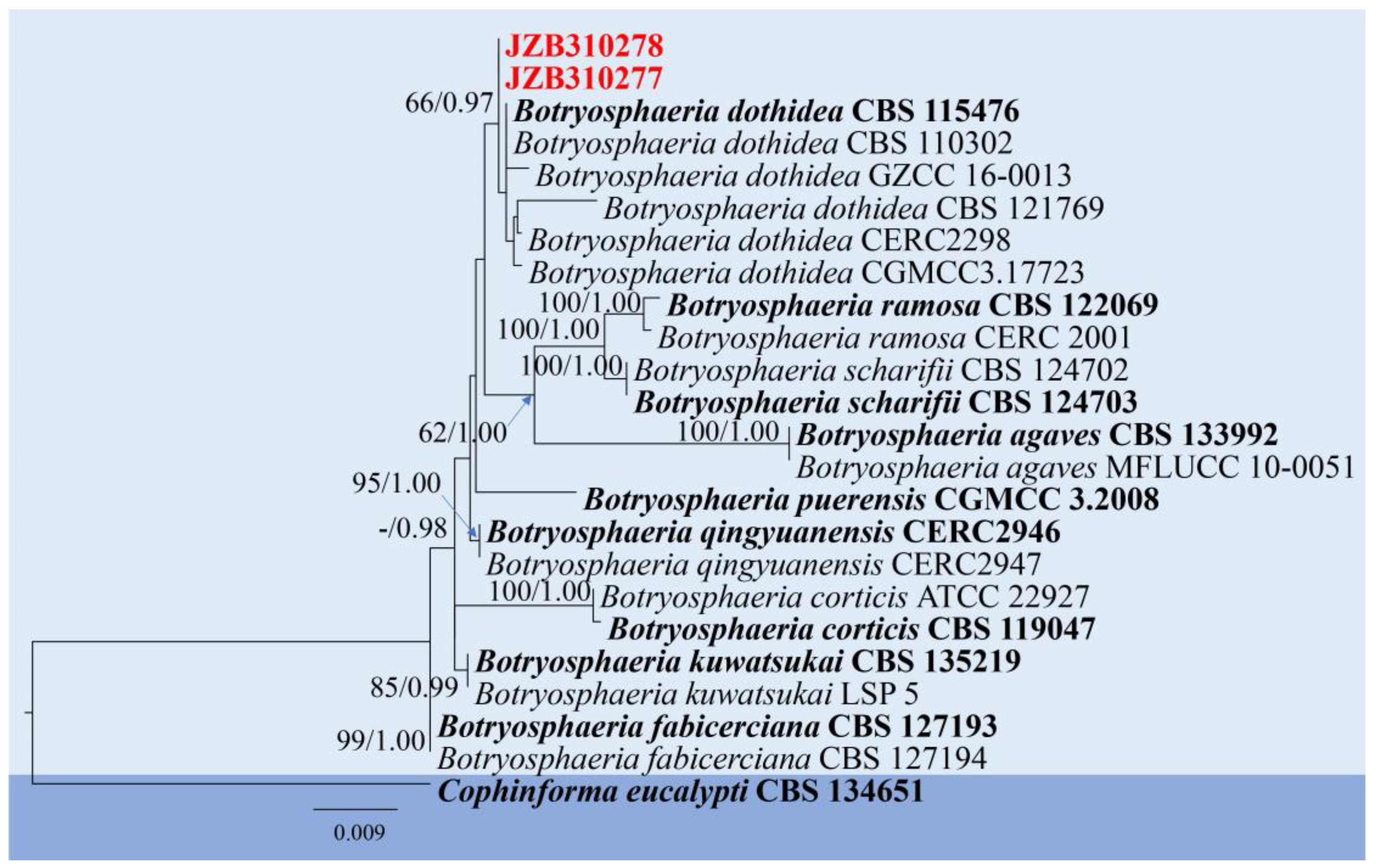 Pathogens 14 00201 g002