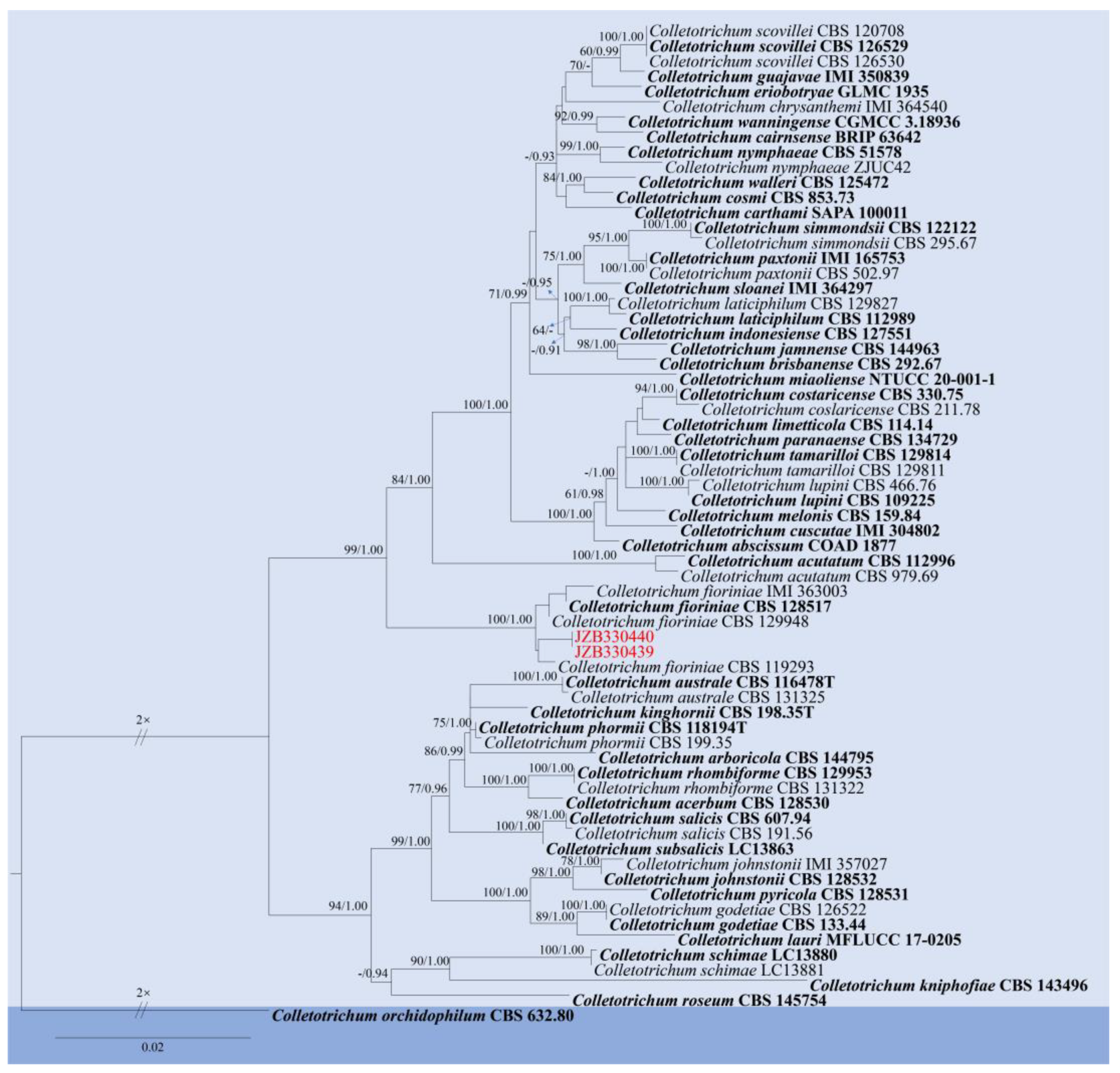 Pathogens 14 00201 g008