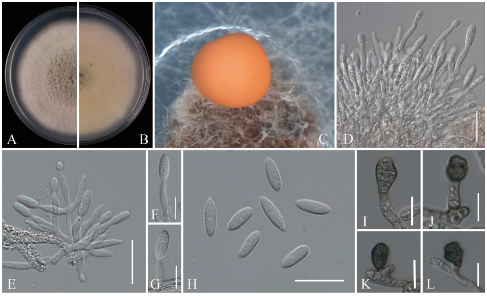 Pathogens 14 00201 g009