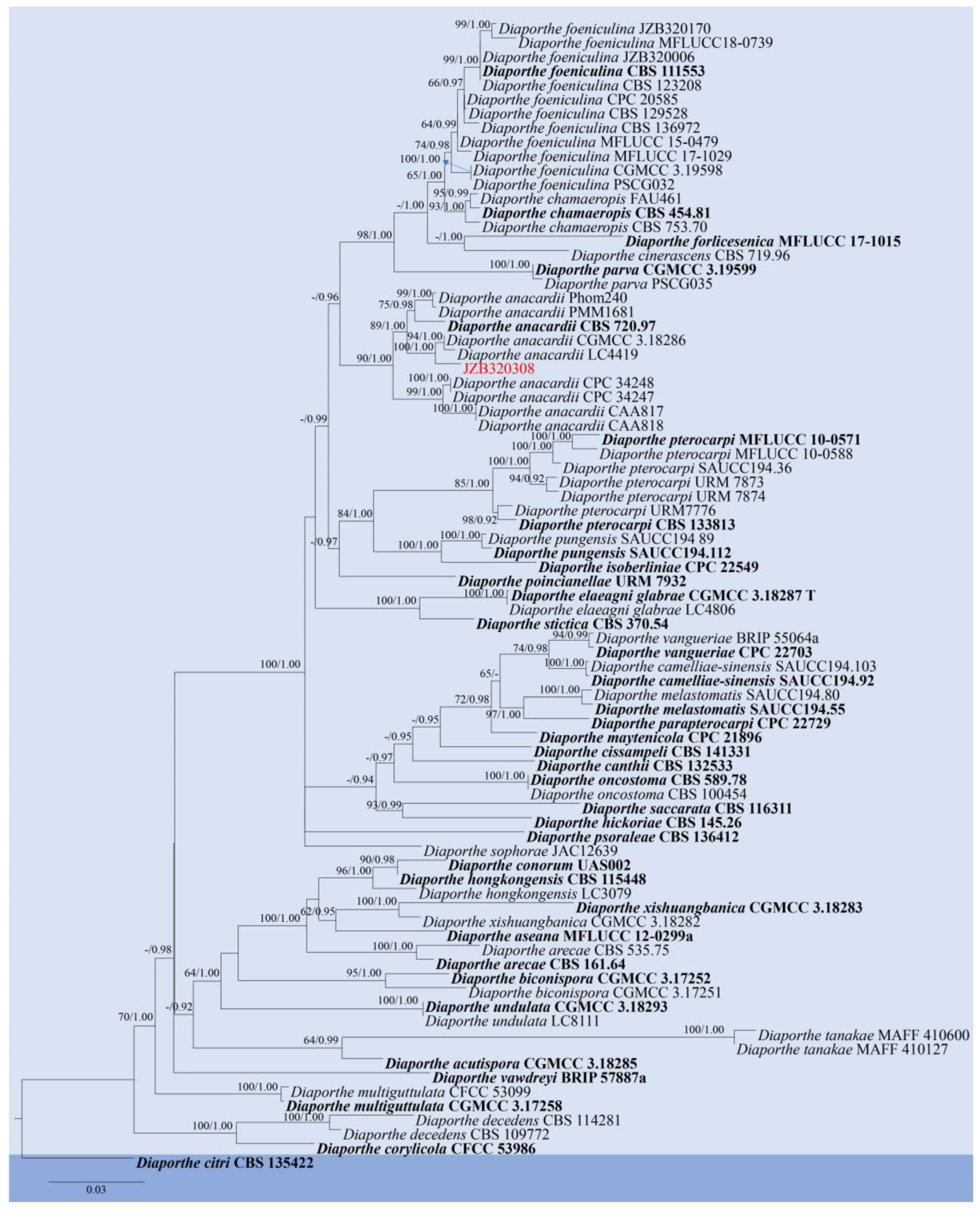 Pathogens 14 00201 g010