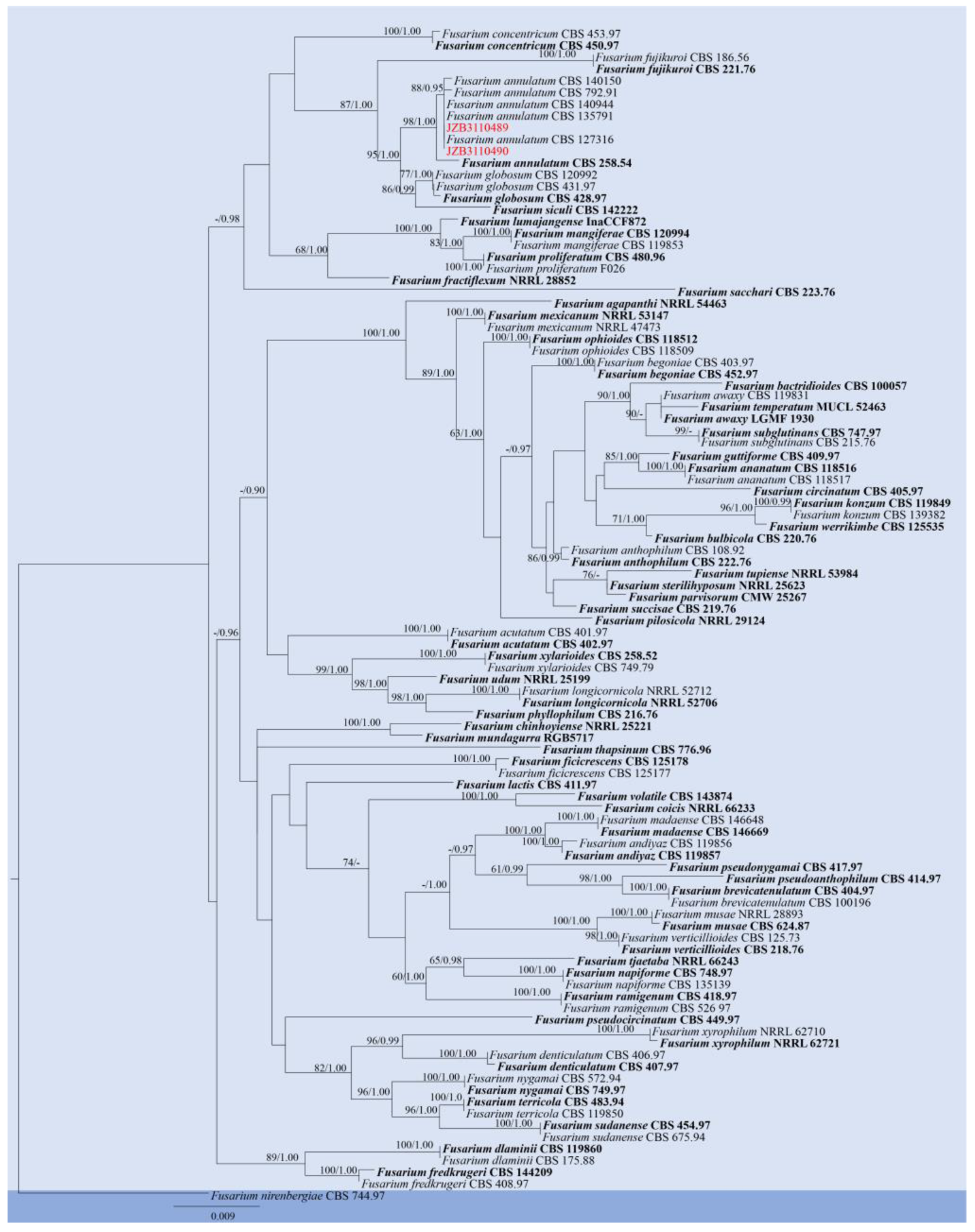 Pathogens 14 00201 g012