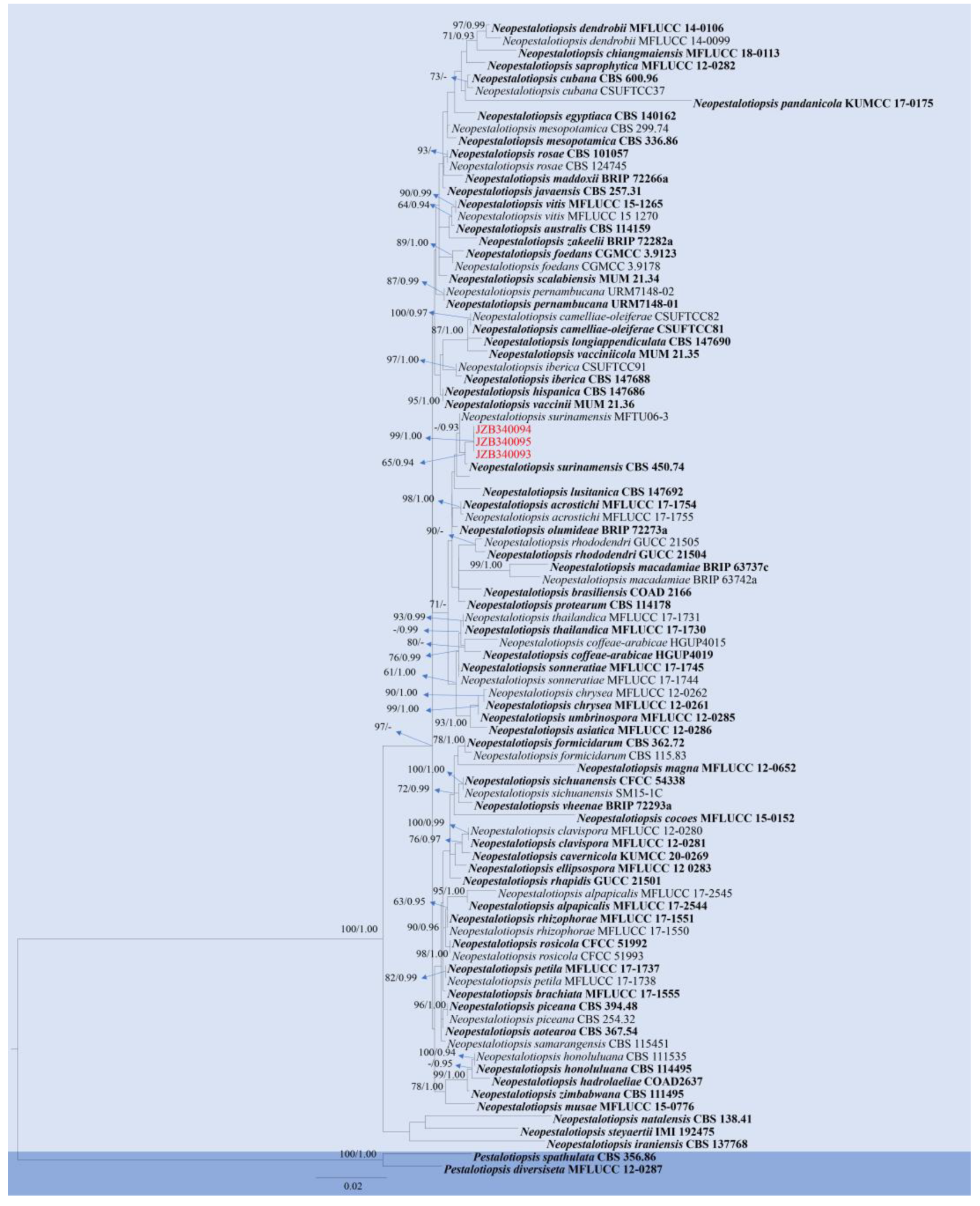Pathogens 14 00201 g014