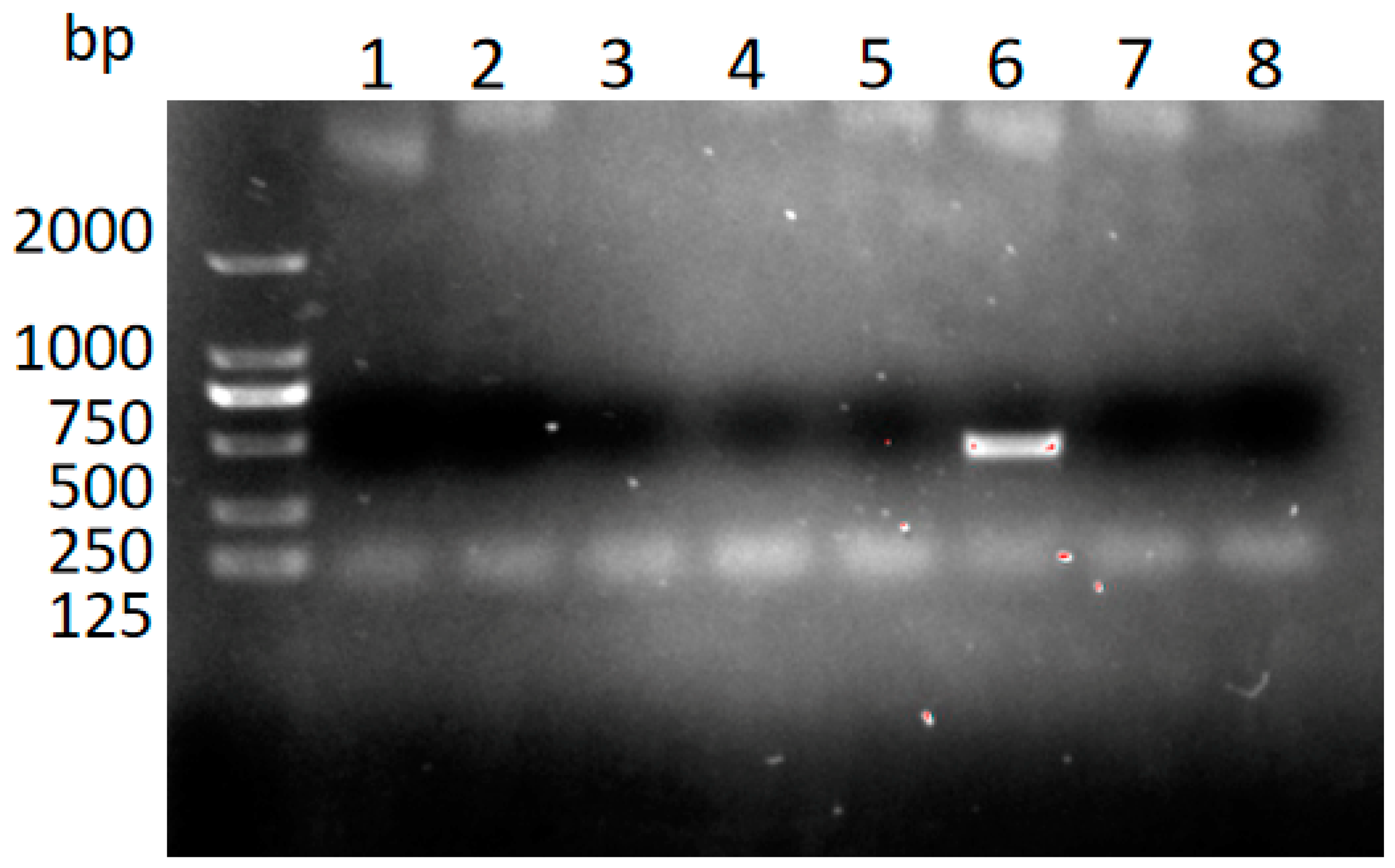 Pathogens 14 00202 g005 Pathogens 14 00202 g005
