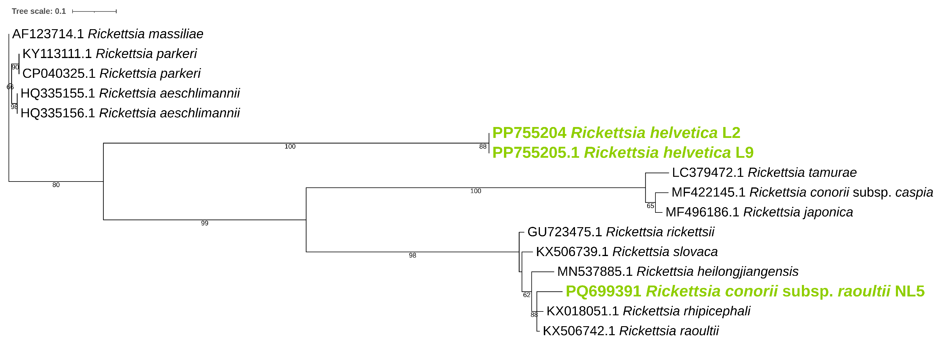 Pathogens 14 00204 g001 Pathogens 14 00204 g001
