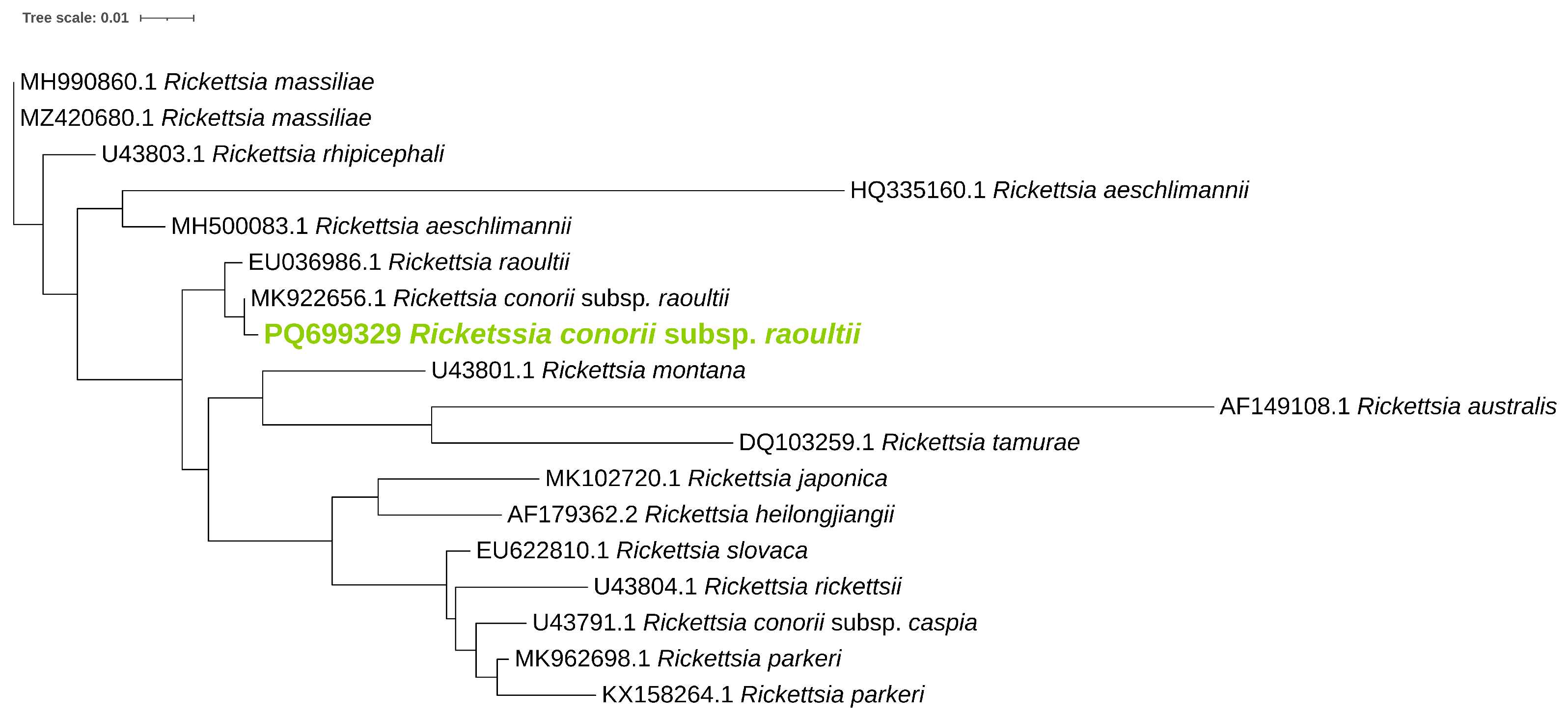 Pathogens 14 00204 g002 Pathogens 14 00204 g002