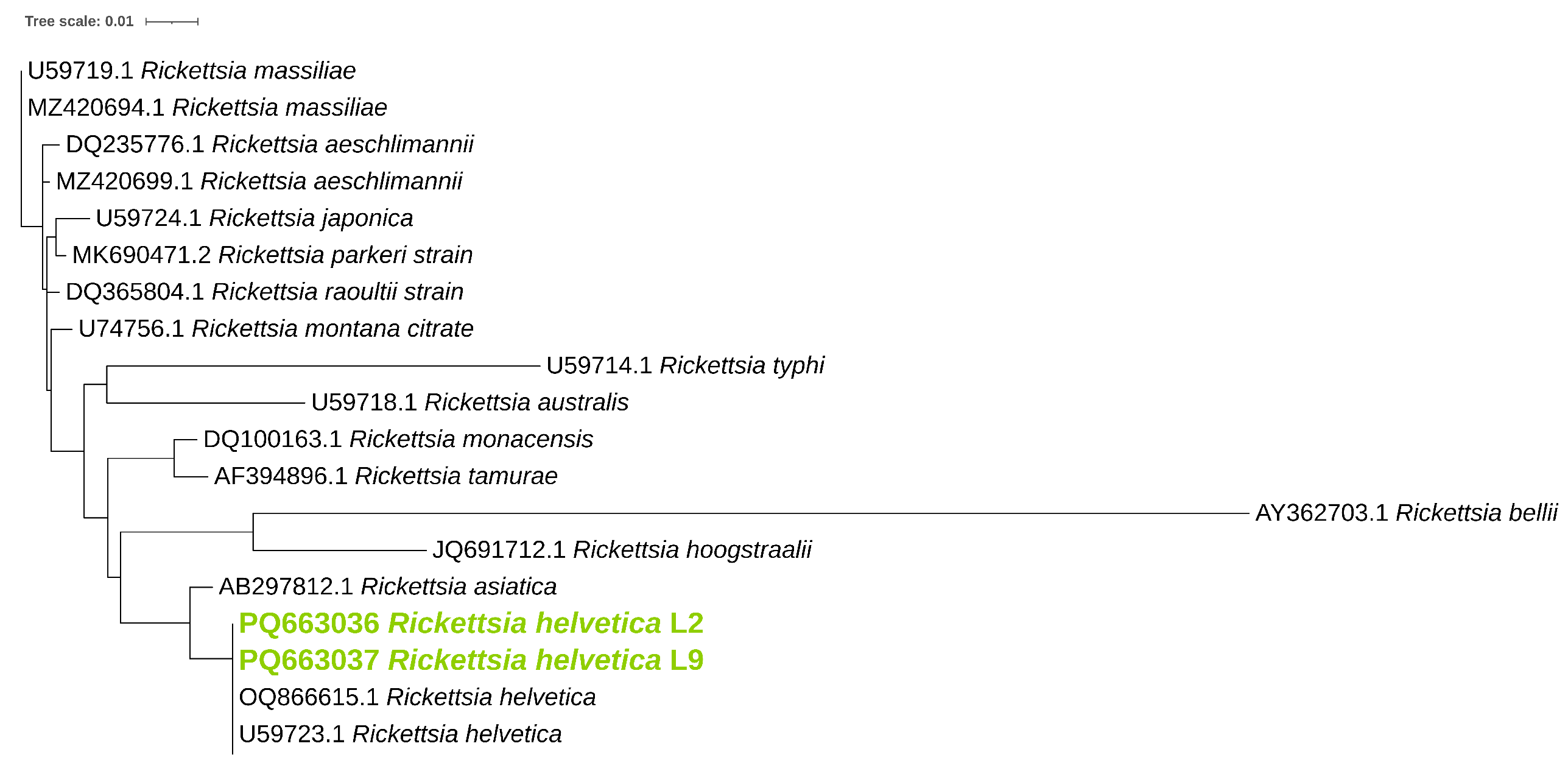 Pathogens 14 00204 g003 Pathogens 14 00204 g003