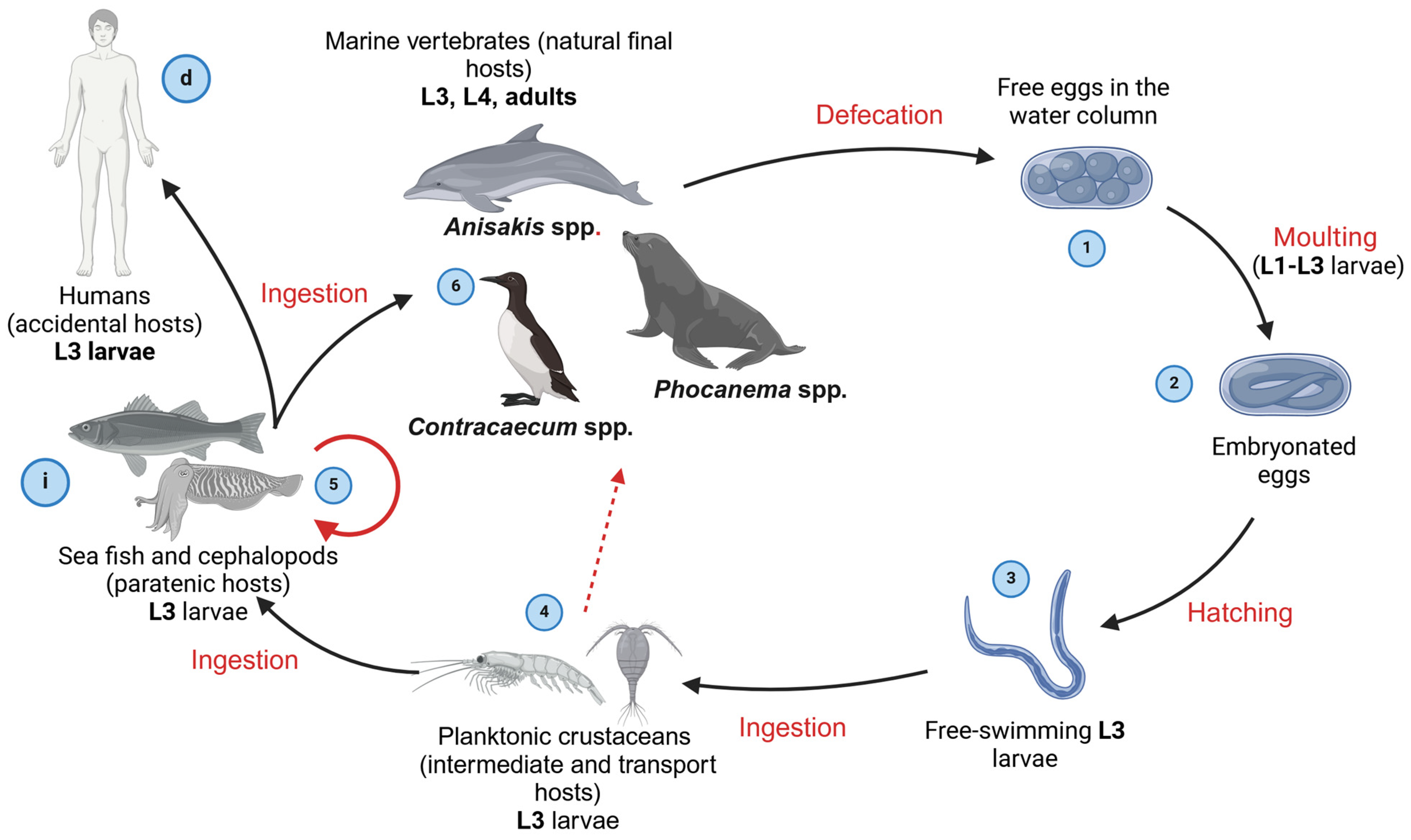 Pathogens 14 00217 g004