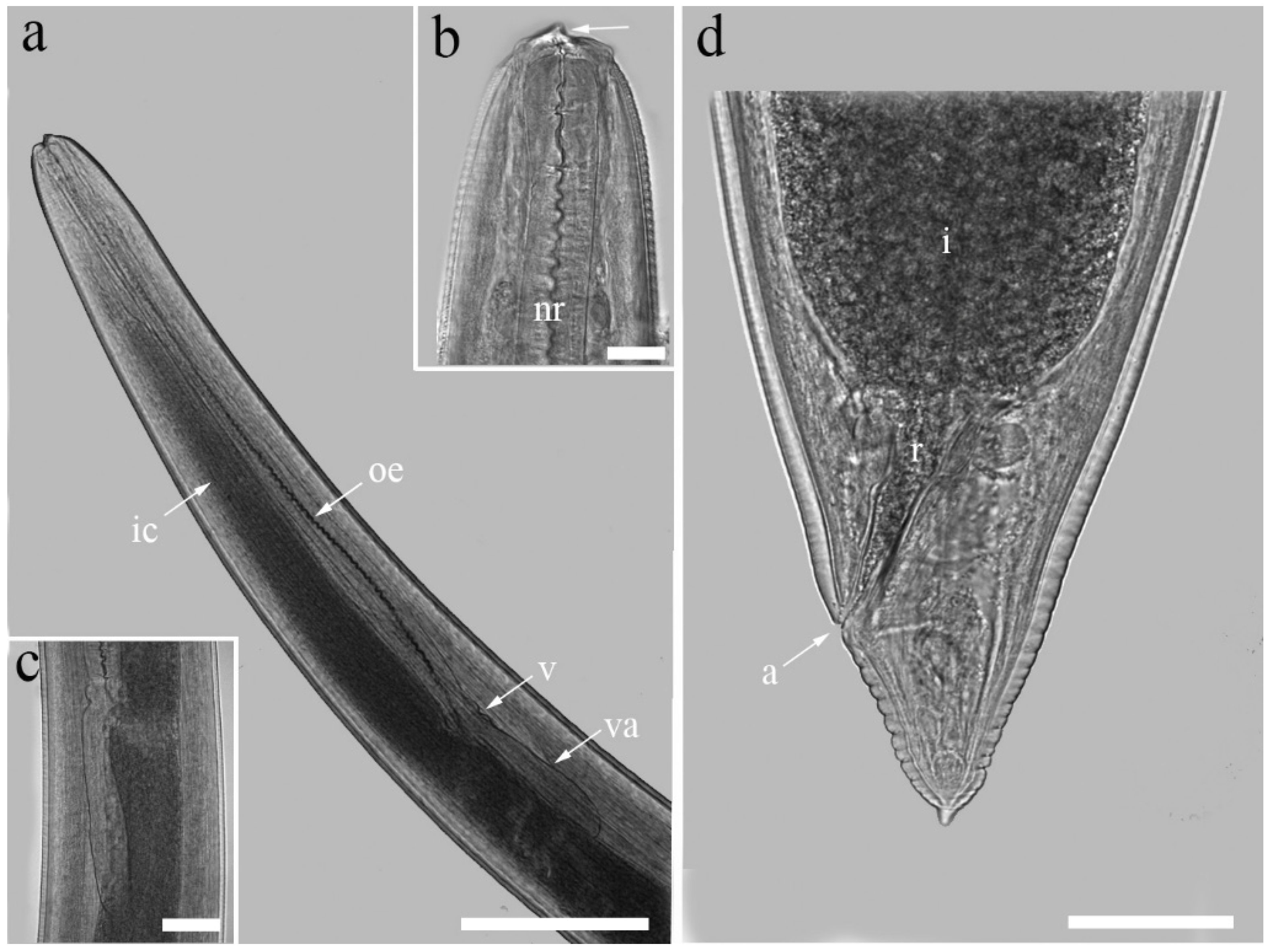 Pathogens 14 00217 g009