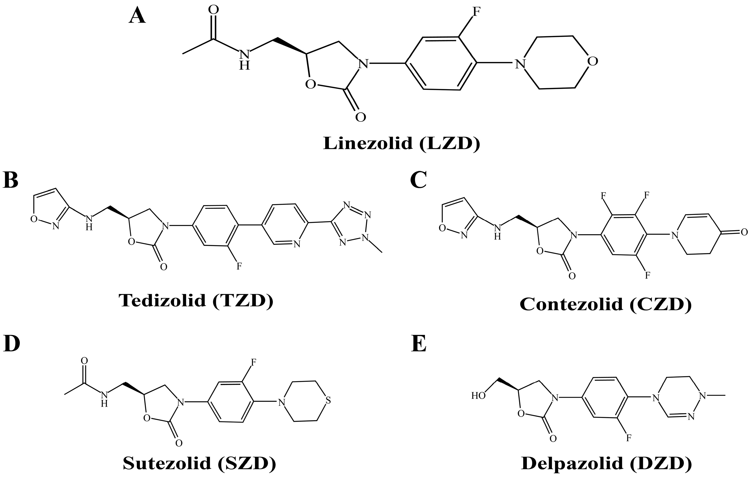 Pathogens 14 00218 g001