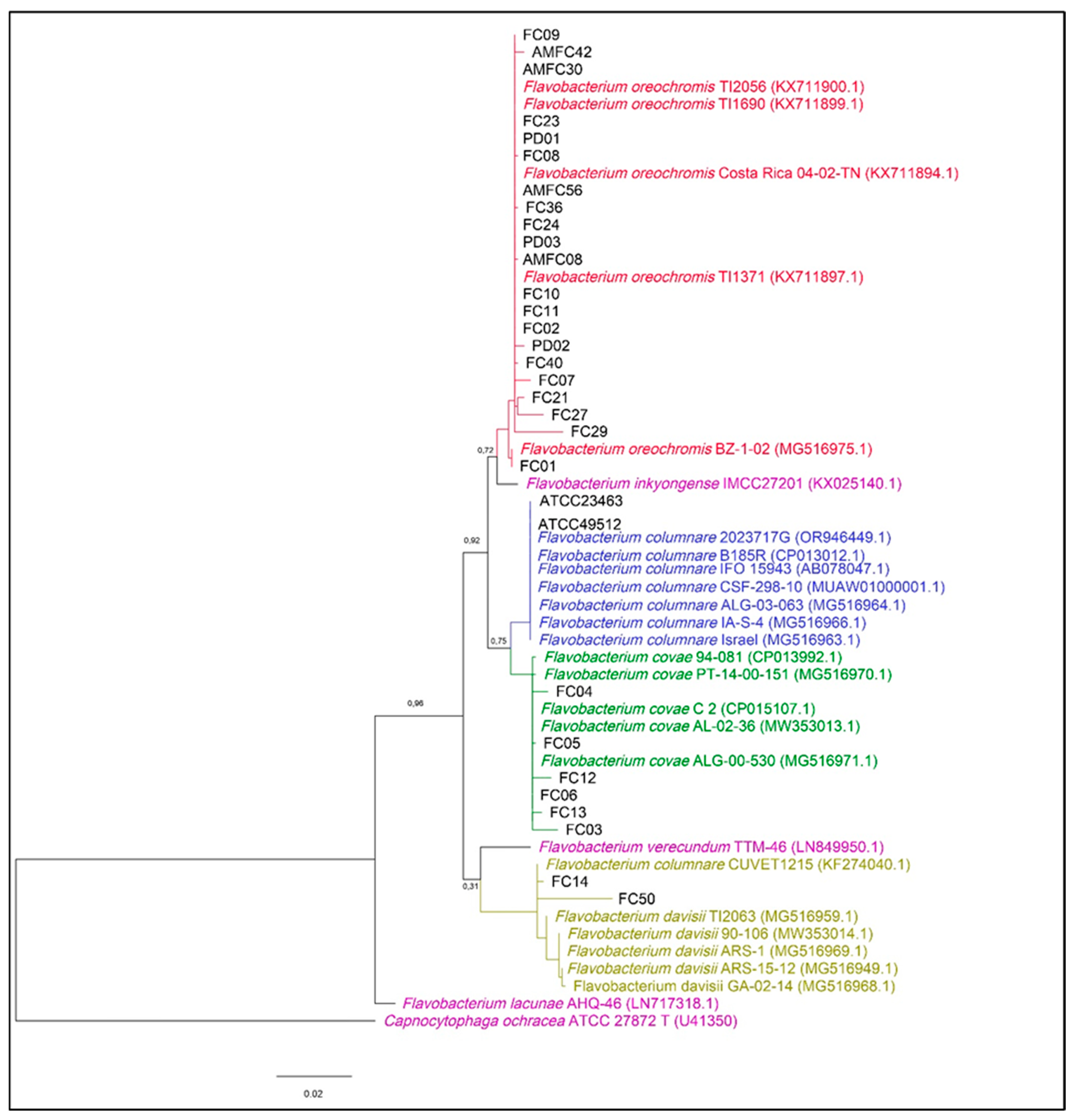 Pathogens 14 00219 g001 Pathogens 14 00219 g001