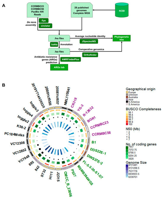 Pathogens 14 00226 g001