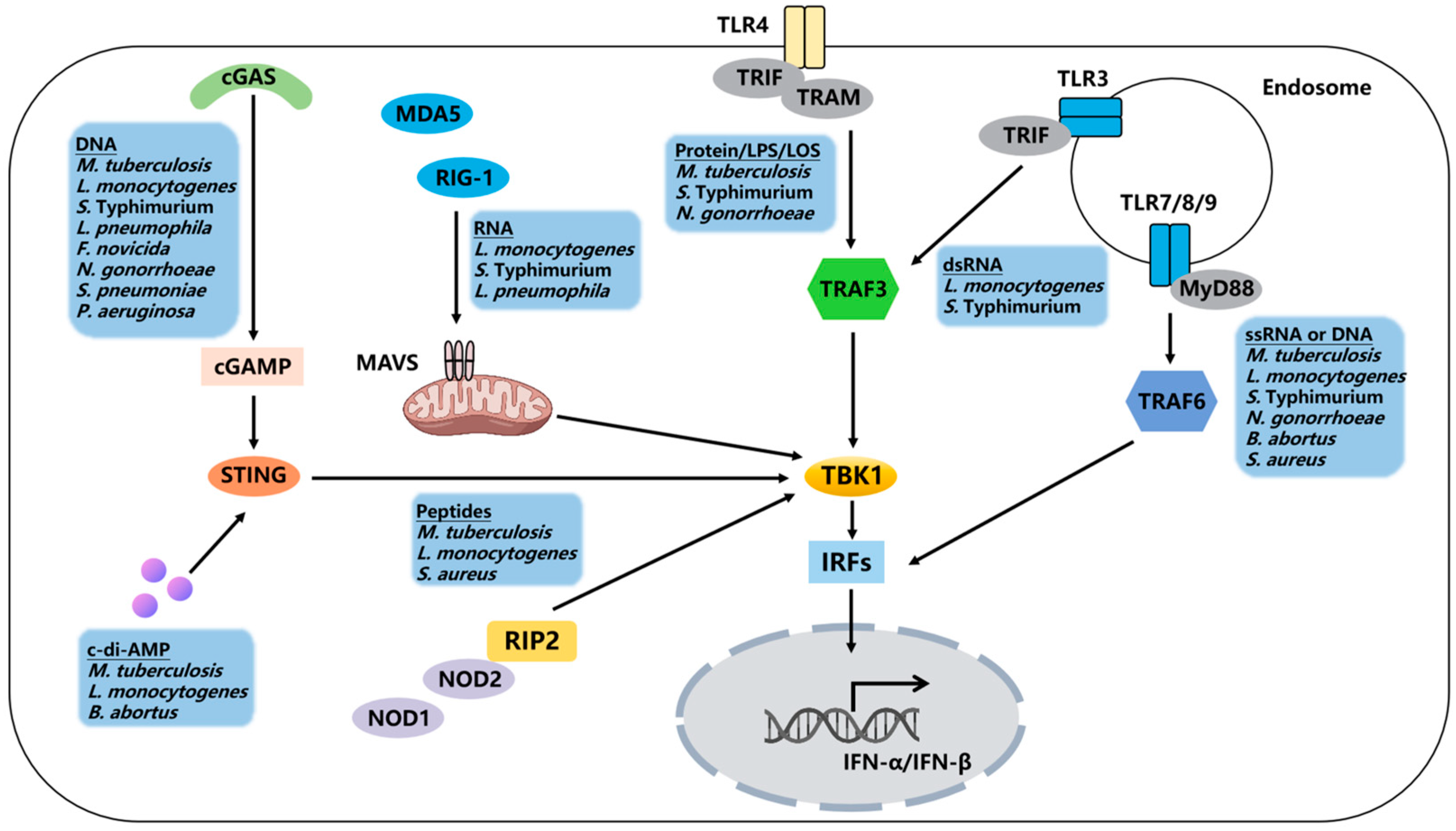 Pathogens 14 00229 g001