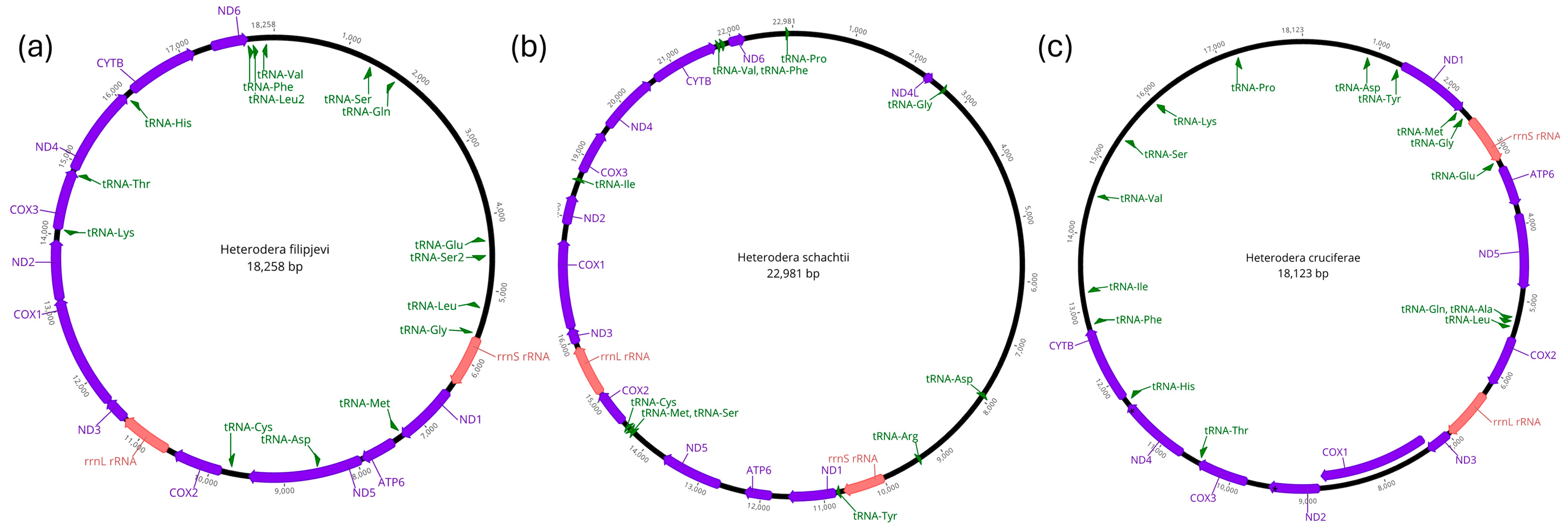 Pathogens 14 00234 g001 Pathogens 14 00234 g001