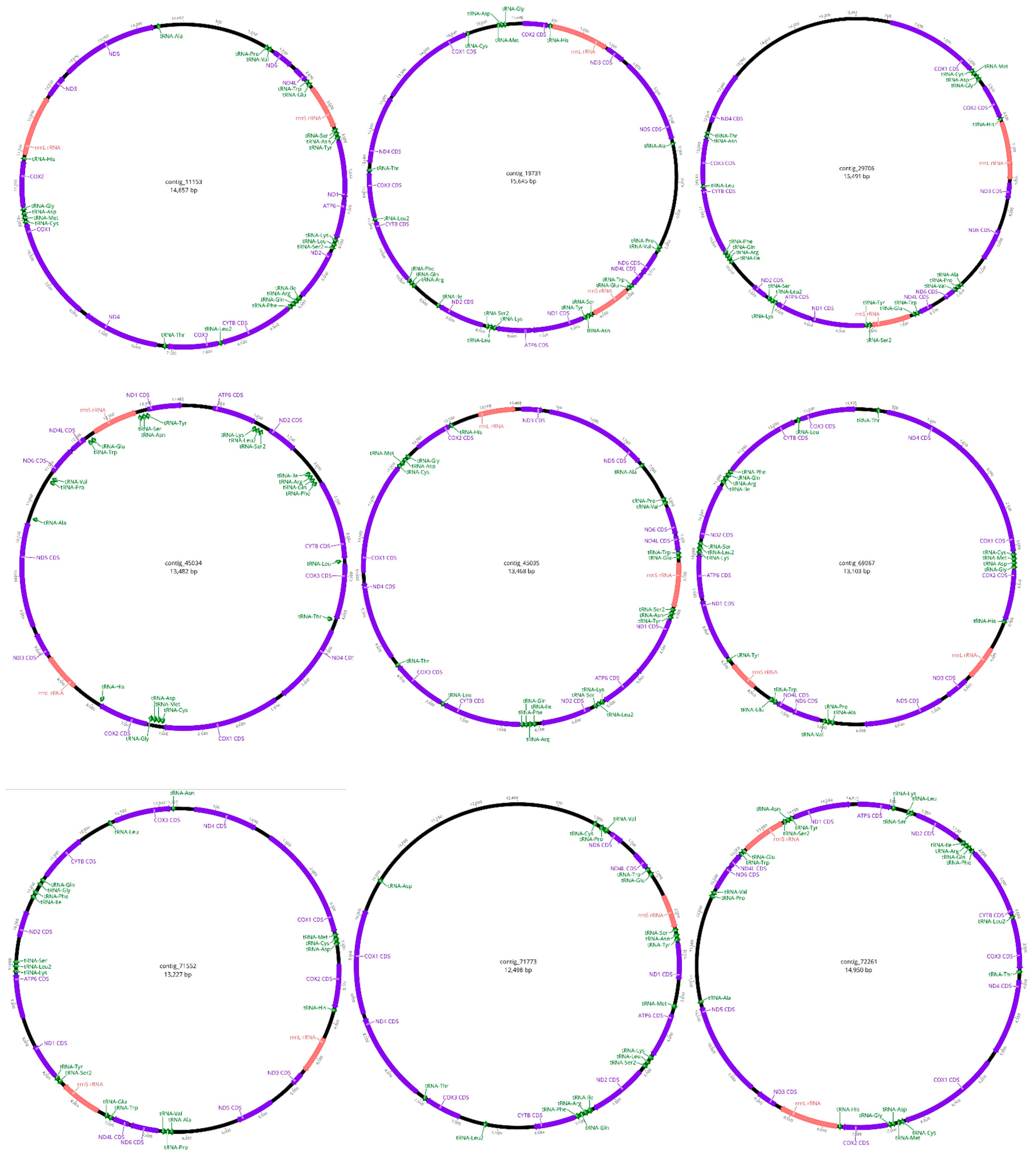 Pathogens 14 00234 g003 Pathogens 14 00234 g003