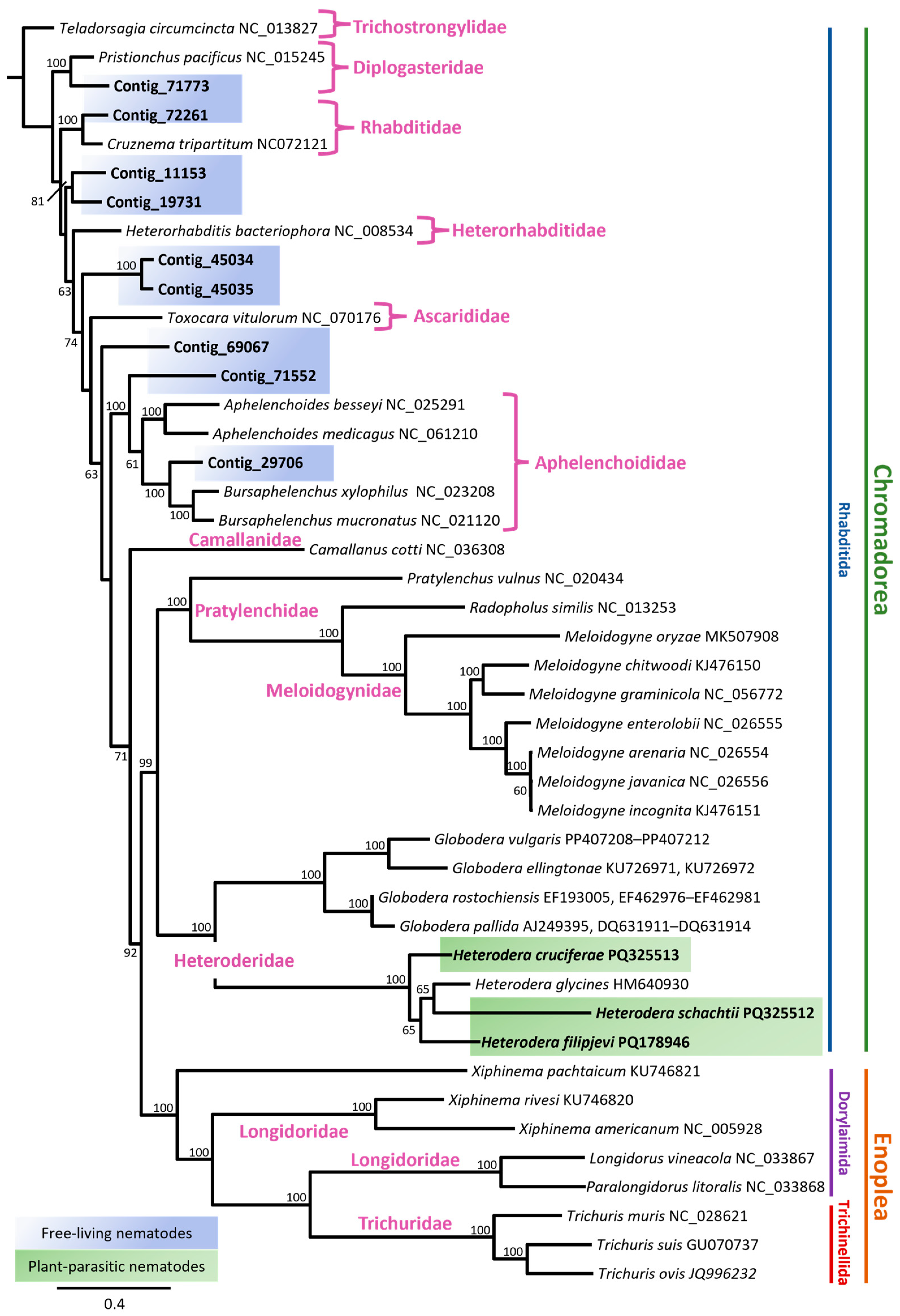 Pathogens 14 00234 g004 Pathogens 14 00234 g004