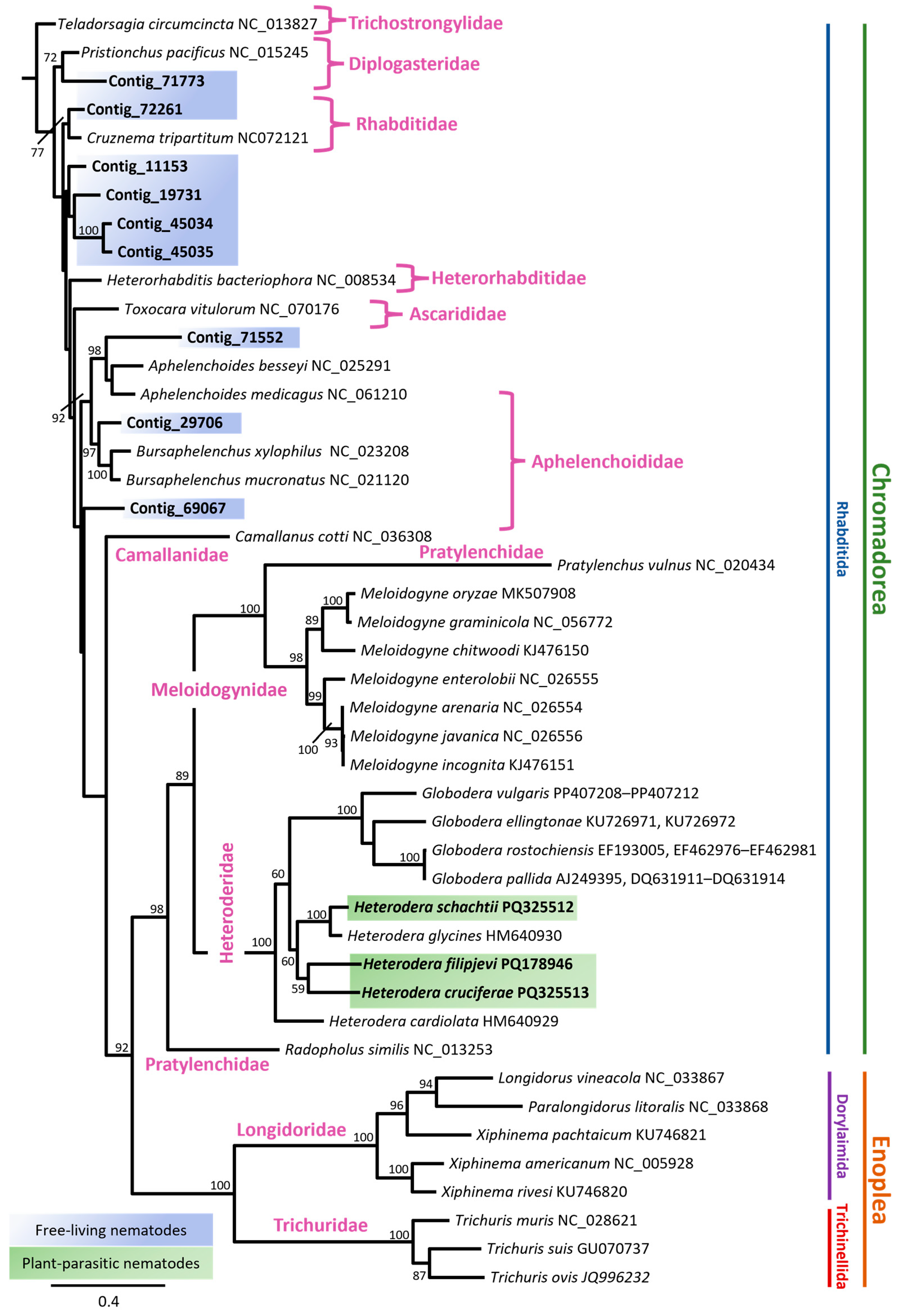 Pathogens 14 00234 g005 Pathogens 14 00234 g005