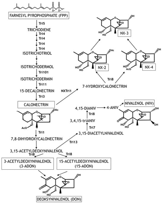 Pathogens 14 00265 g003