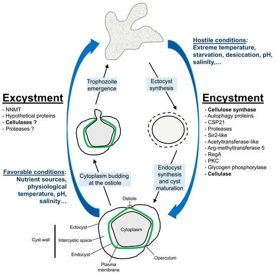 Pathogens 14 00268 g004
