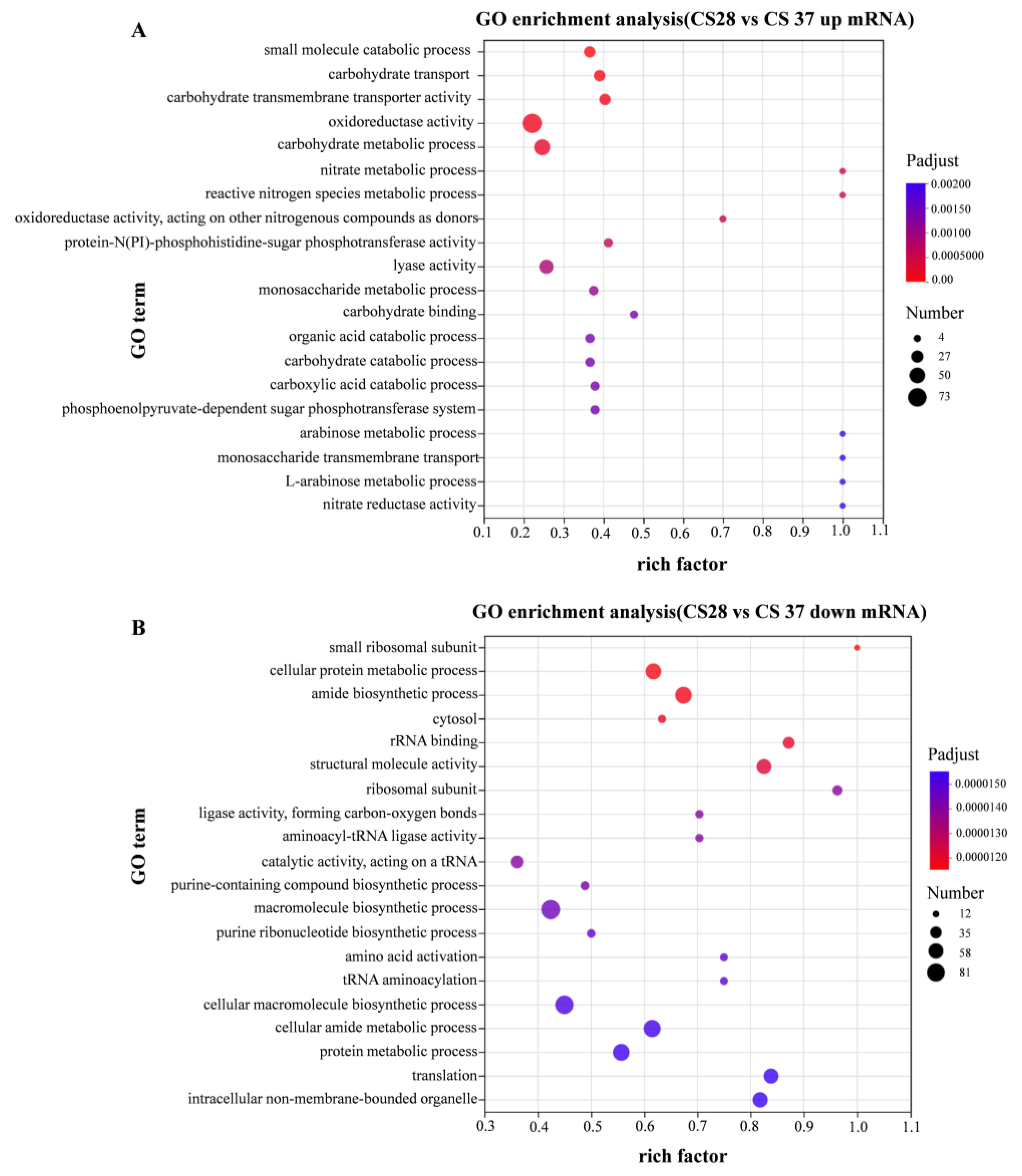Pathogens 14 00281 g006