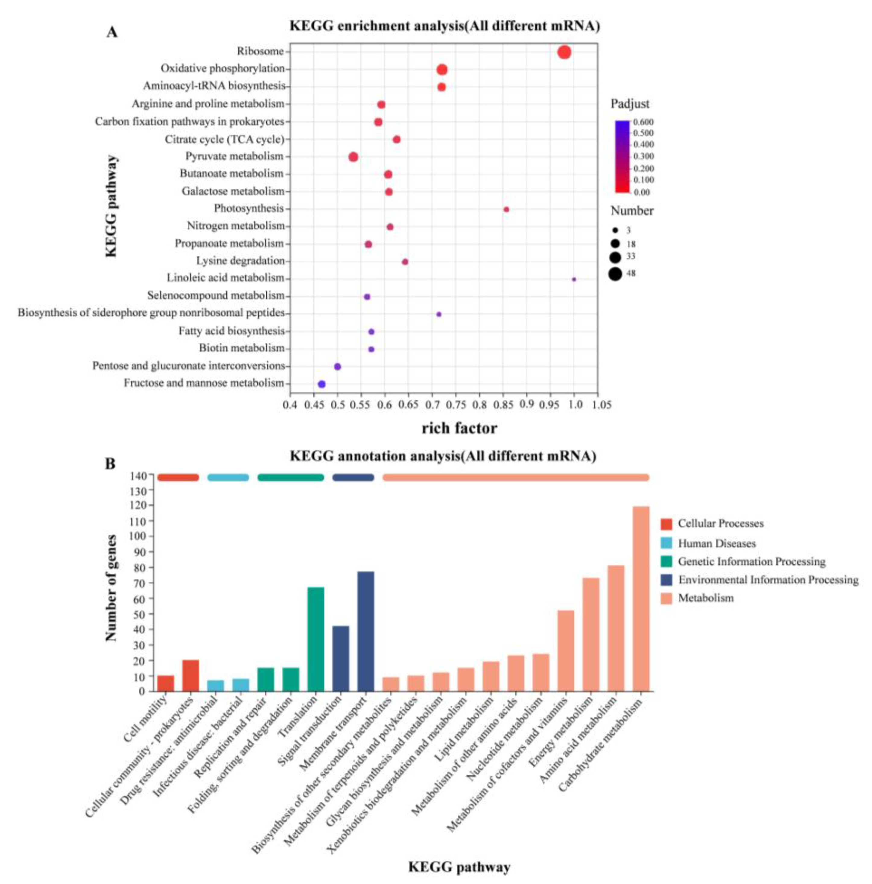 Pathogens 14 00281 g007