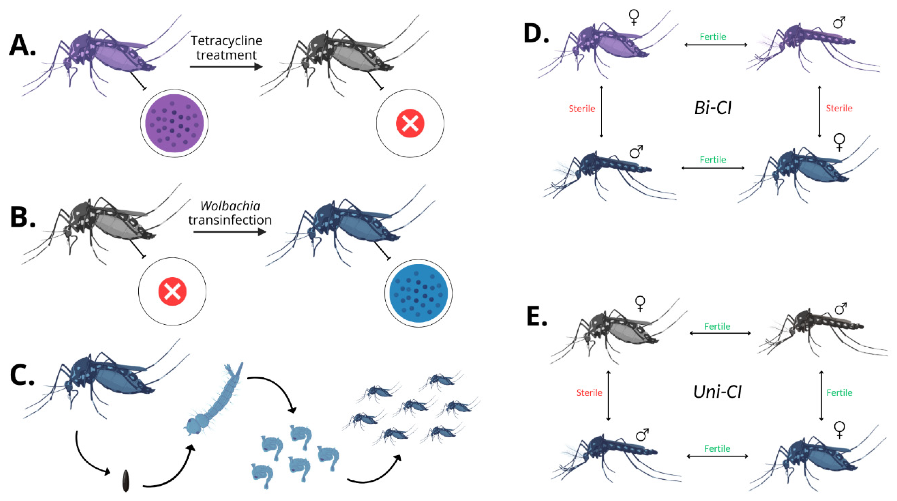 Pathogens 14 00285 g001