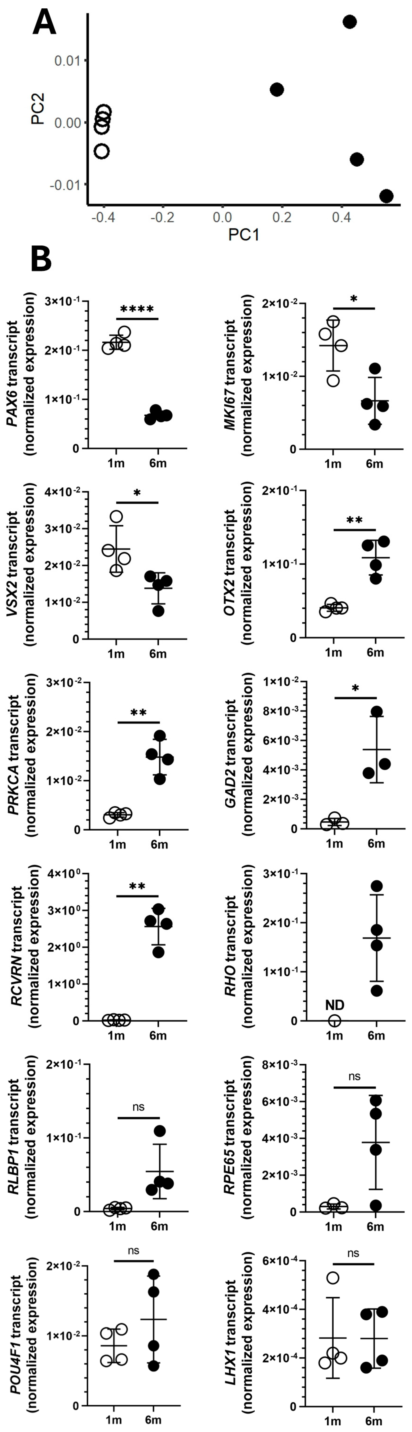 Pathogens 14 00286 g001