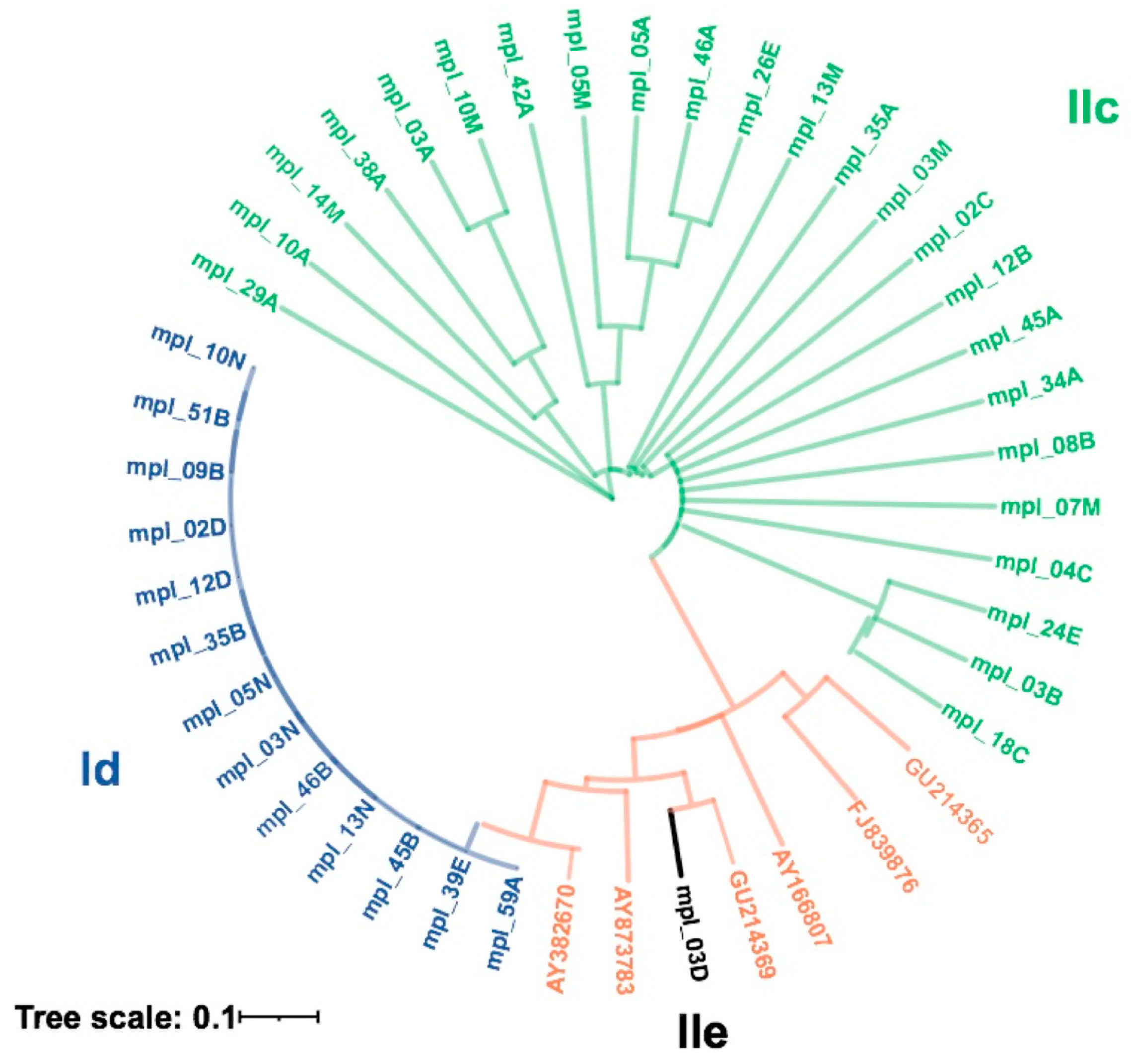 Pathogens 14 00287 g004