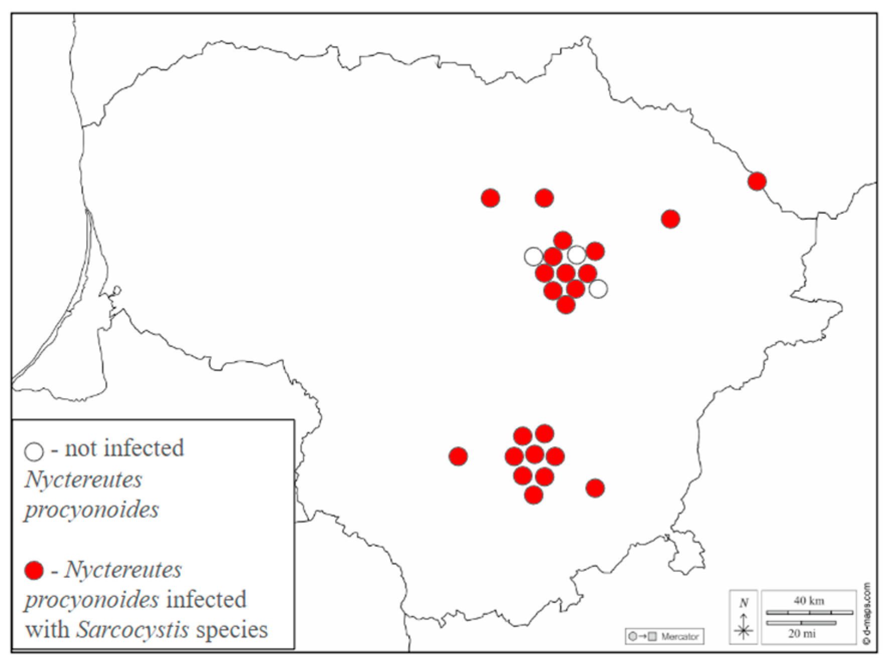 Pathogens 14 00288 g001 Pathogens 14 00288 g001