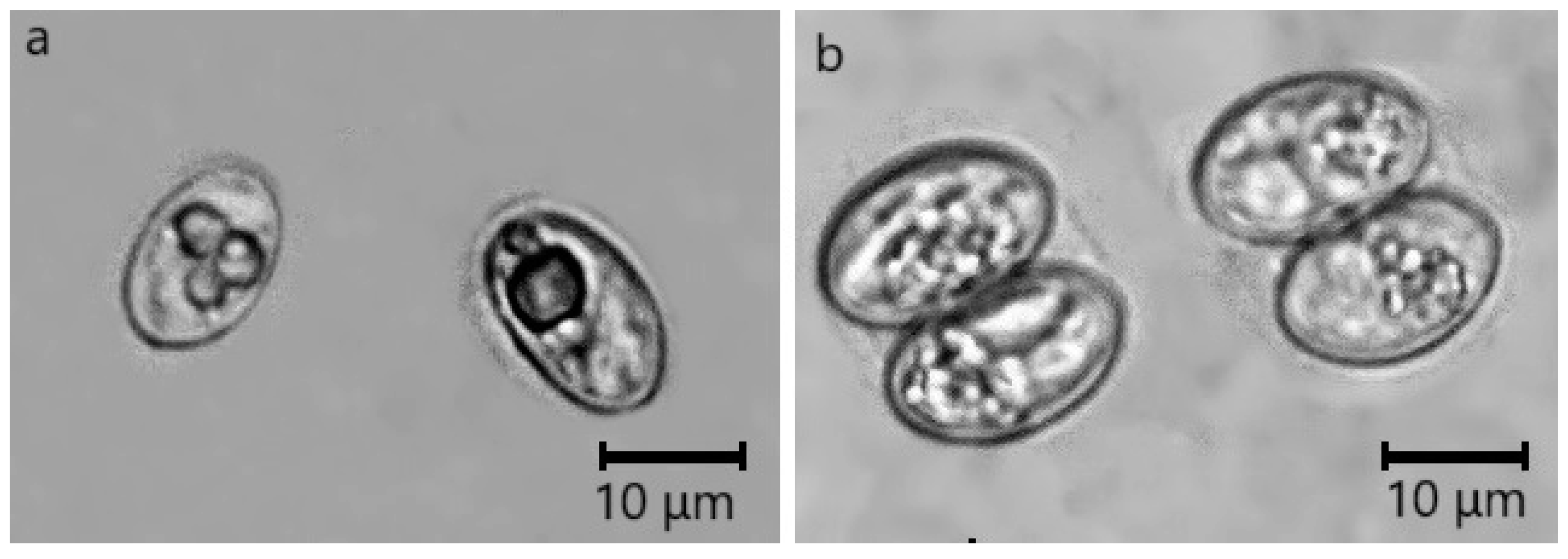 Pathogens 14 00288 g002 Pathogens 14 00288 g002