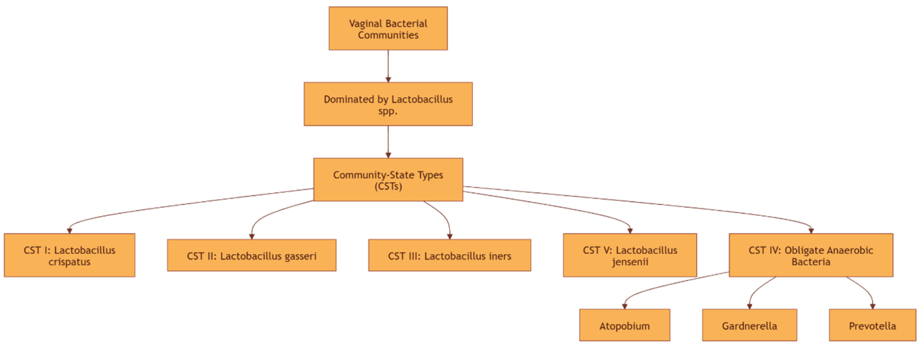 Pathogens 14 00293 g001