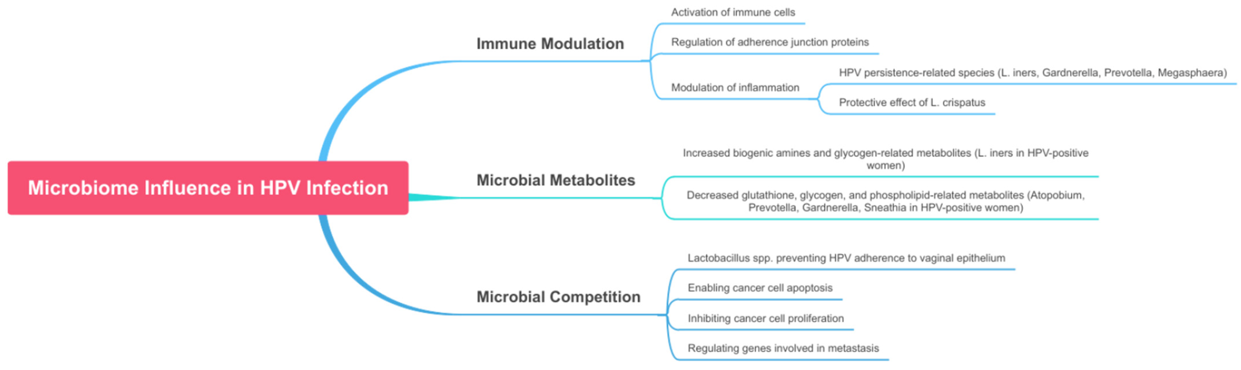 Pathogens 14 00293 g002