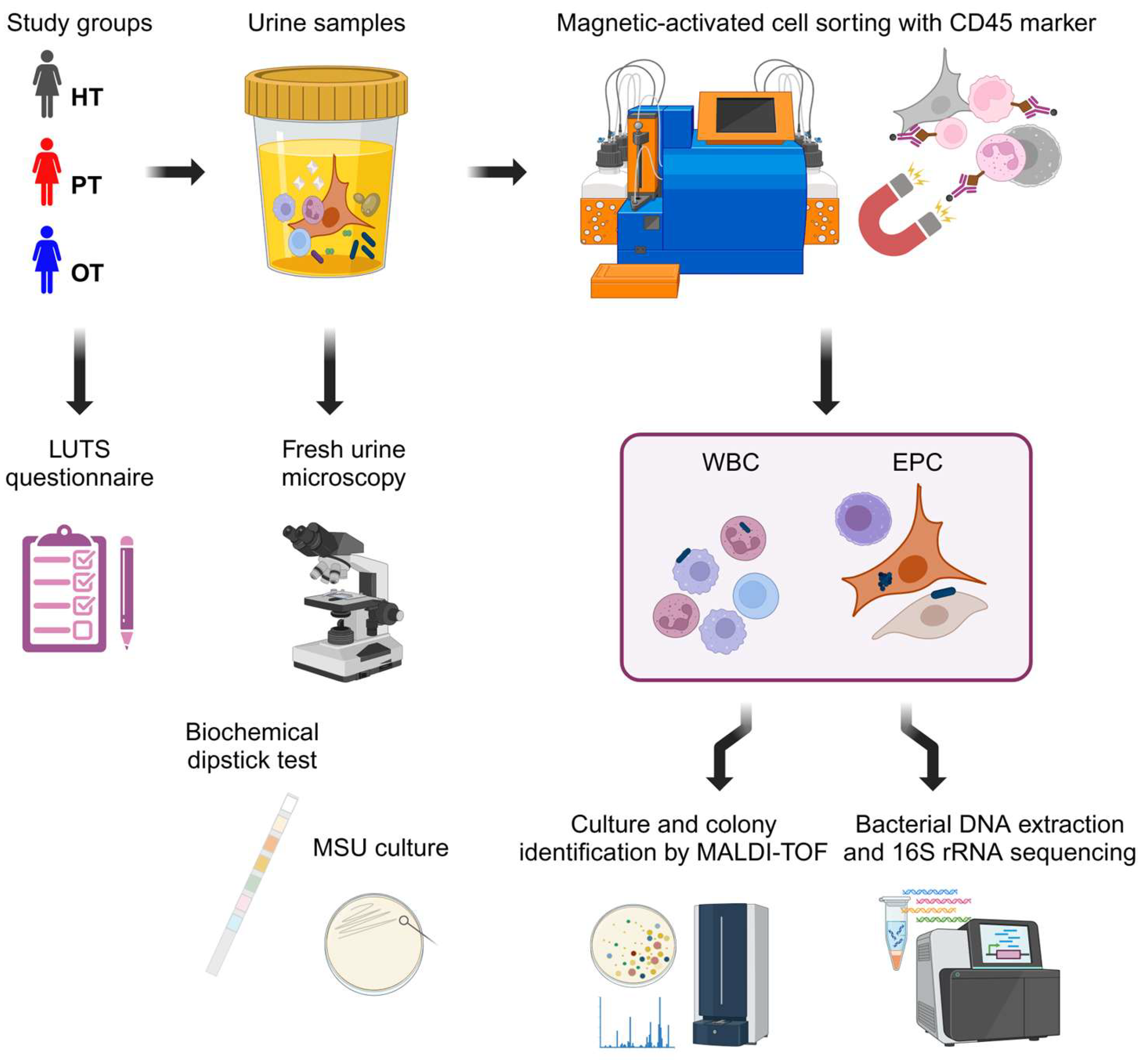 Pathogens 14 00299 g001