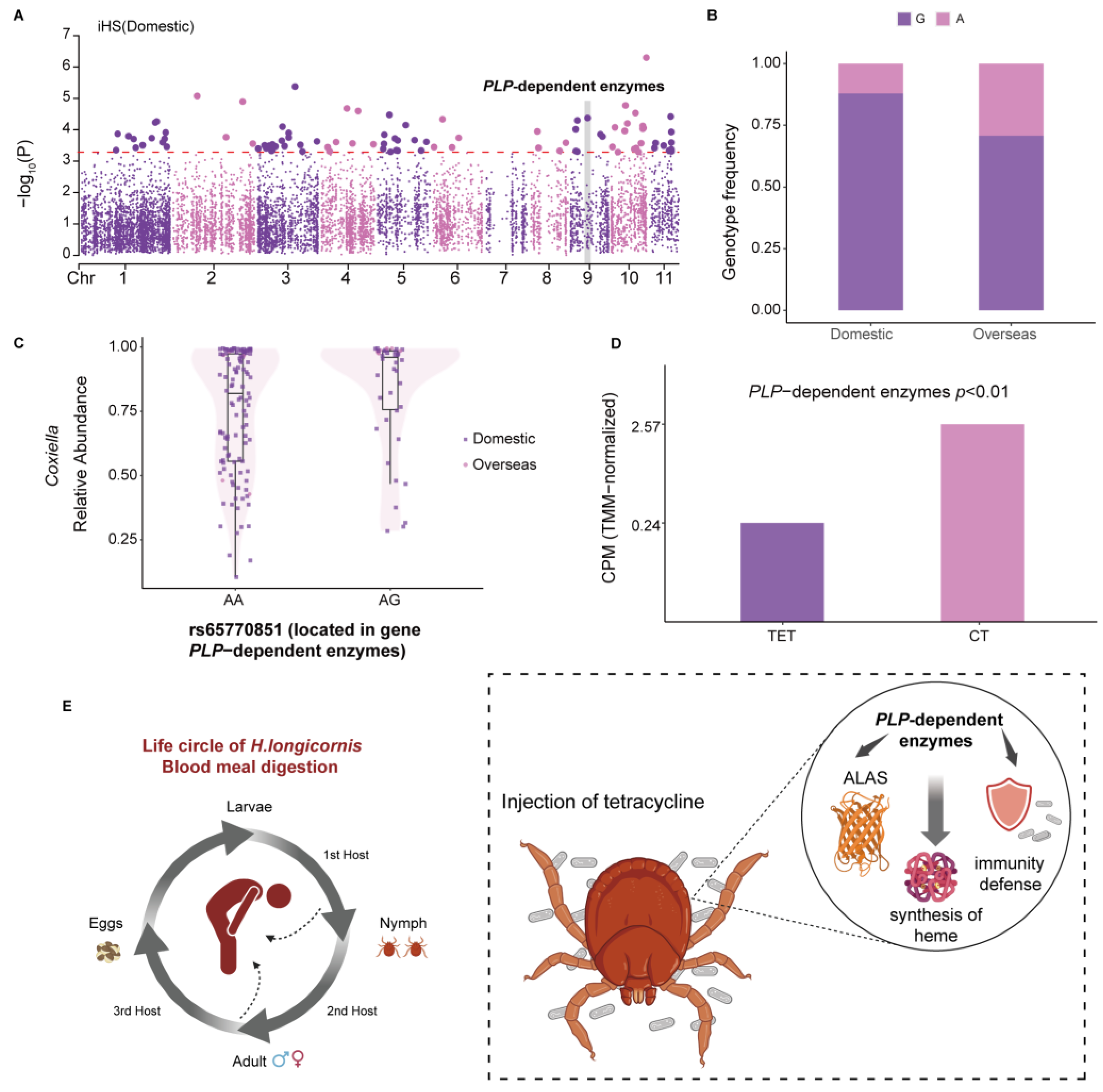 Pathogens 14 00306 g004