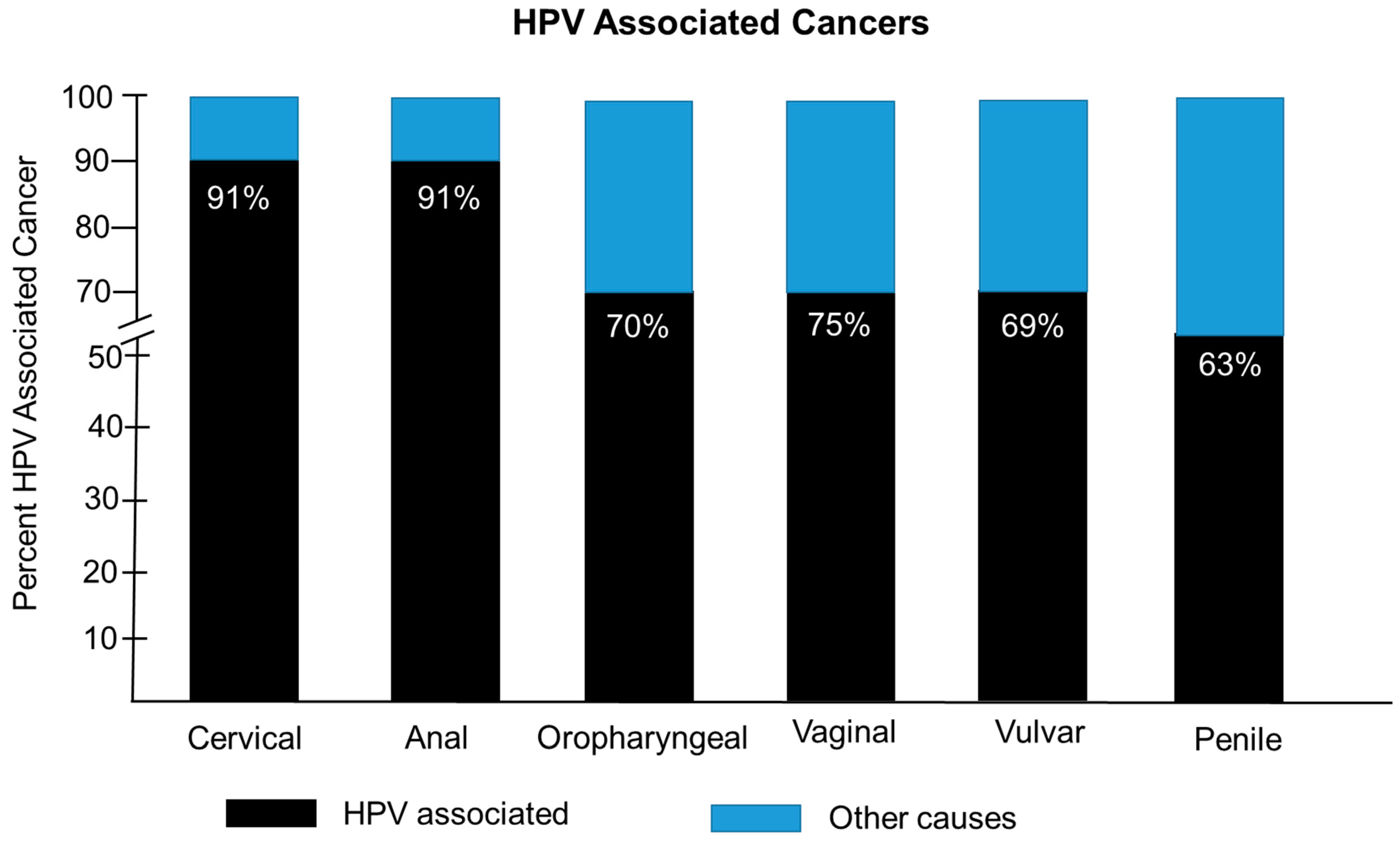 Pathogens 14 00311 g001