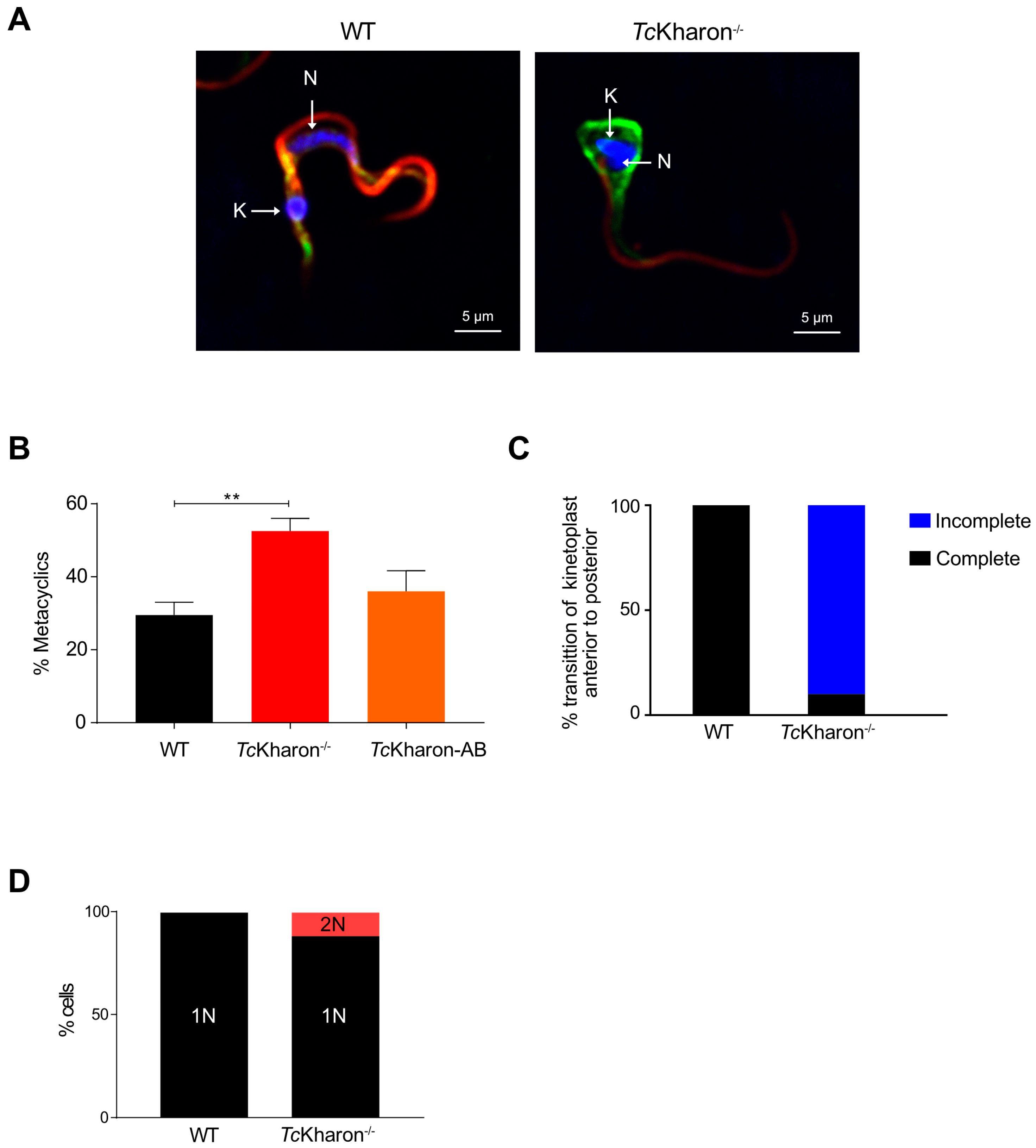 Pathogens 14 00312 g007