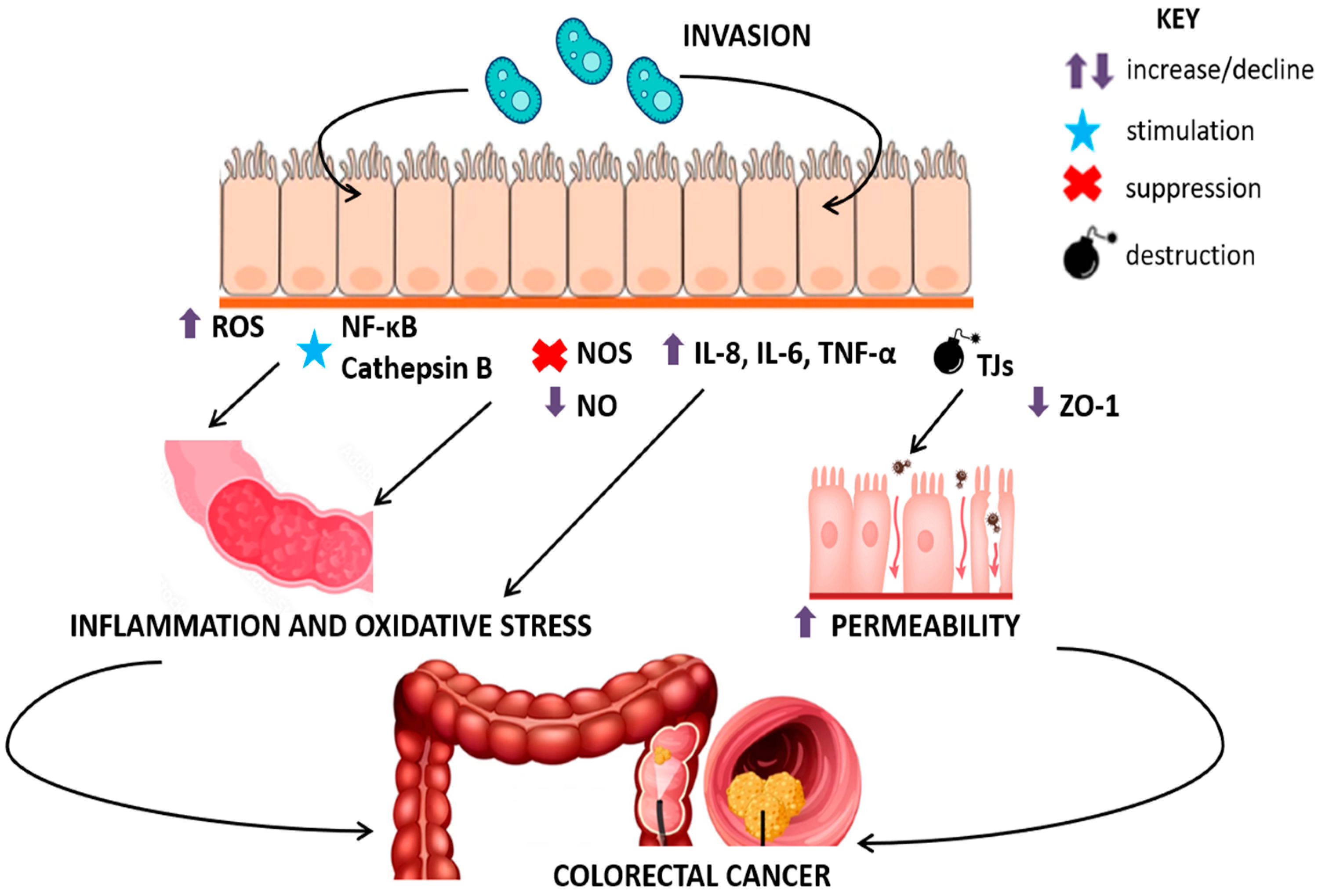 Pathogens 14 00313 g001 Pathogens 14 00313 g001