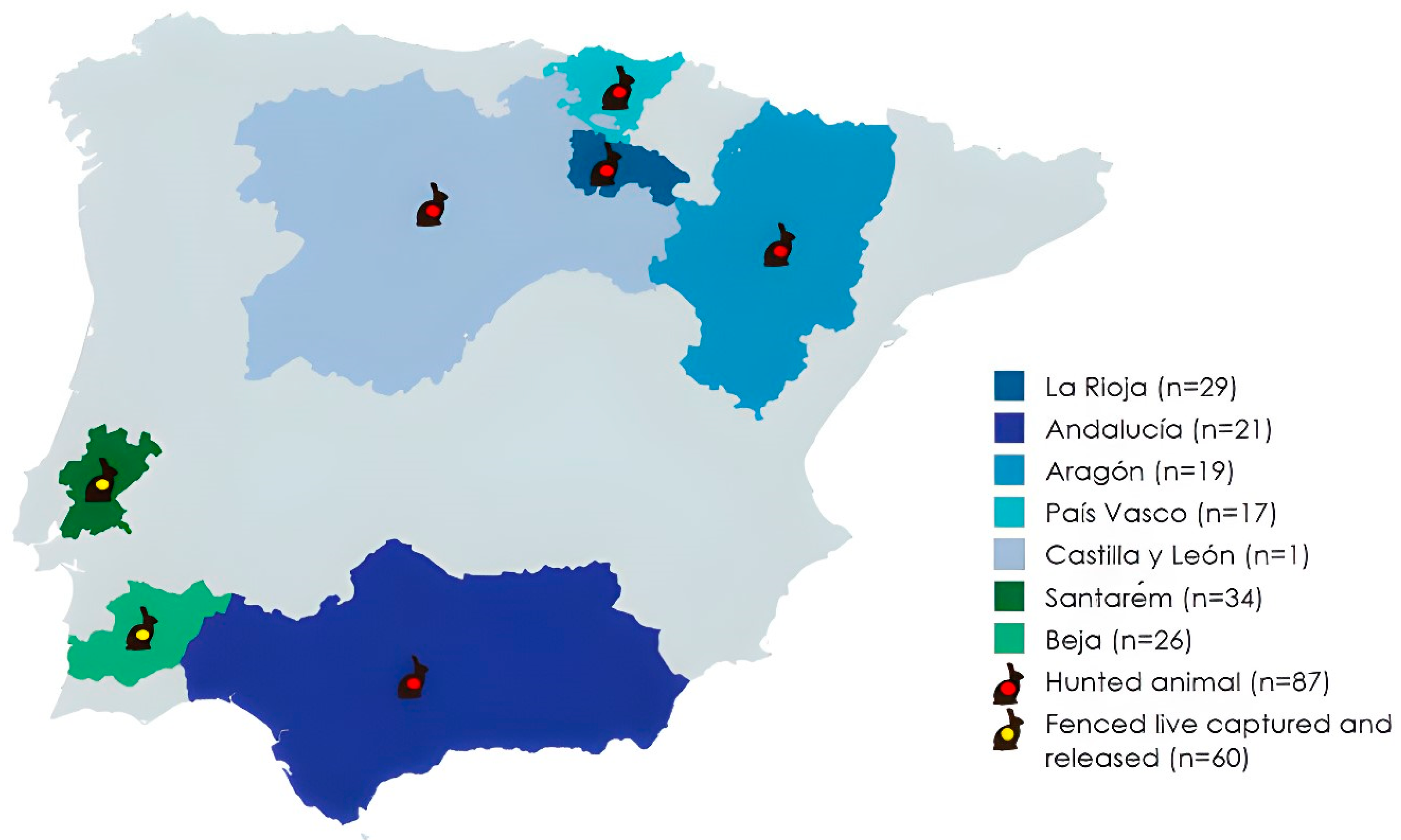 Pathogens 14 00317 g001