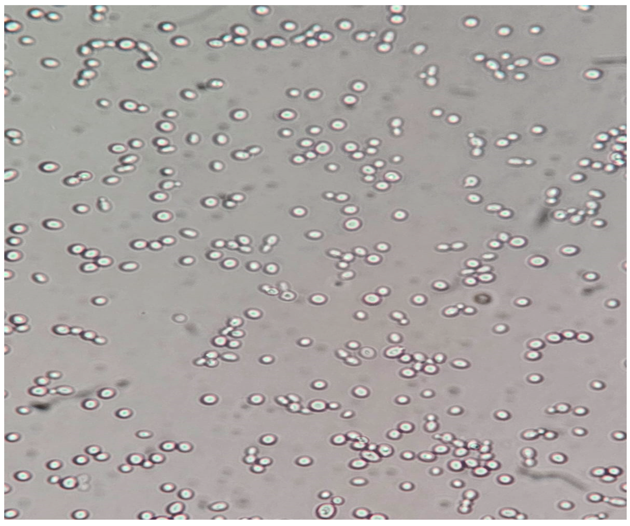 Pathogens 14 00327 g003 Pathogens 14 00327 g003