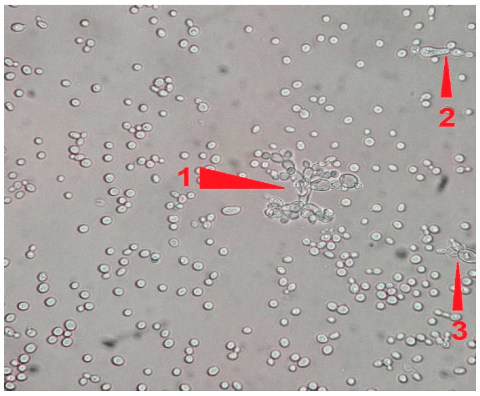 Pathogens 14 00327 g004 Pathogens 14 00327 g004
