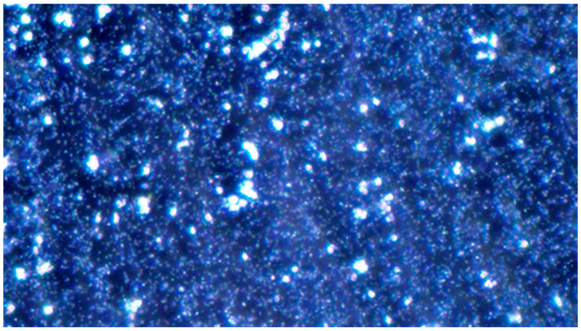 Pathogens 14 00327 g007 Pathogens 14 00327 g007