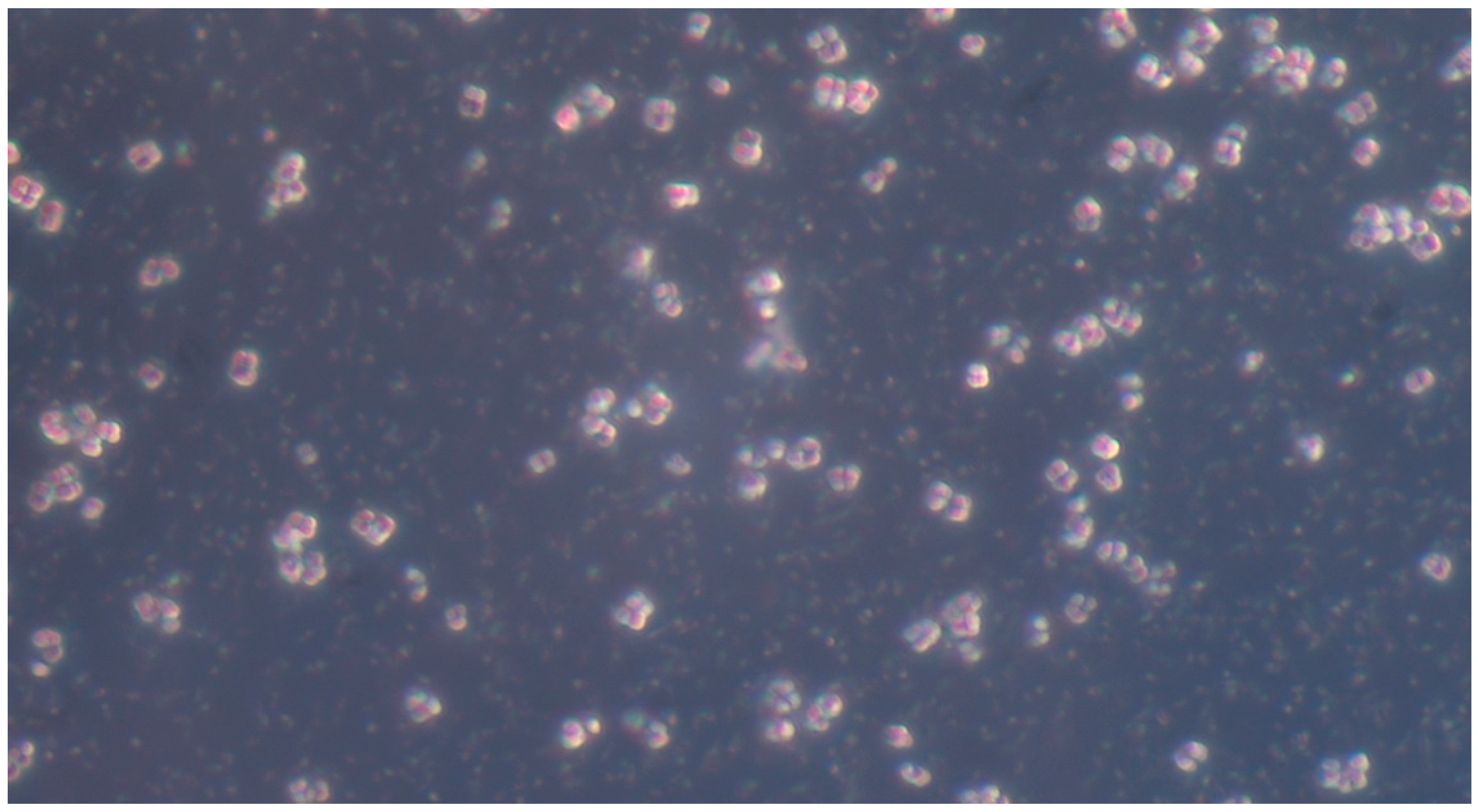 Pathogens 14 00327 g009 Pathogens 14 00327 g009