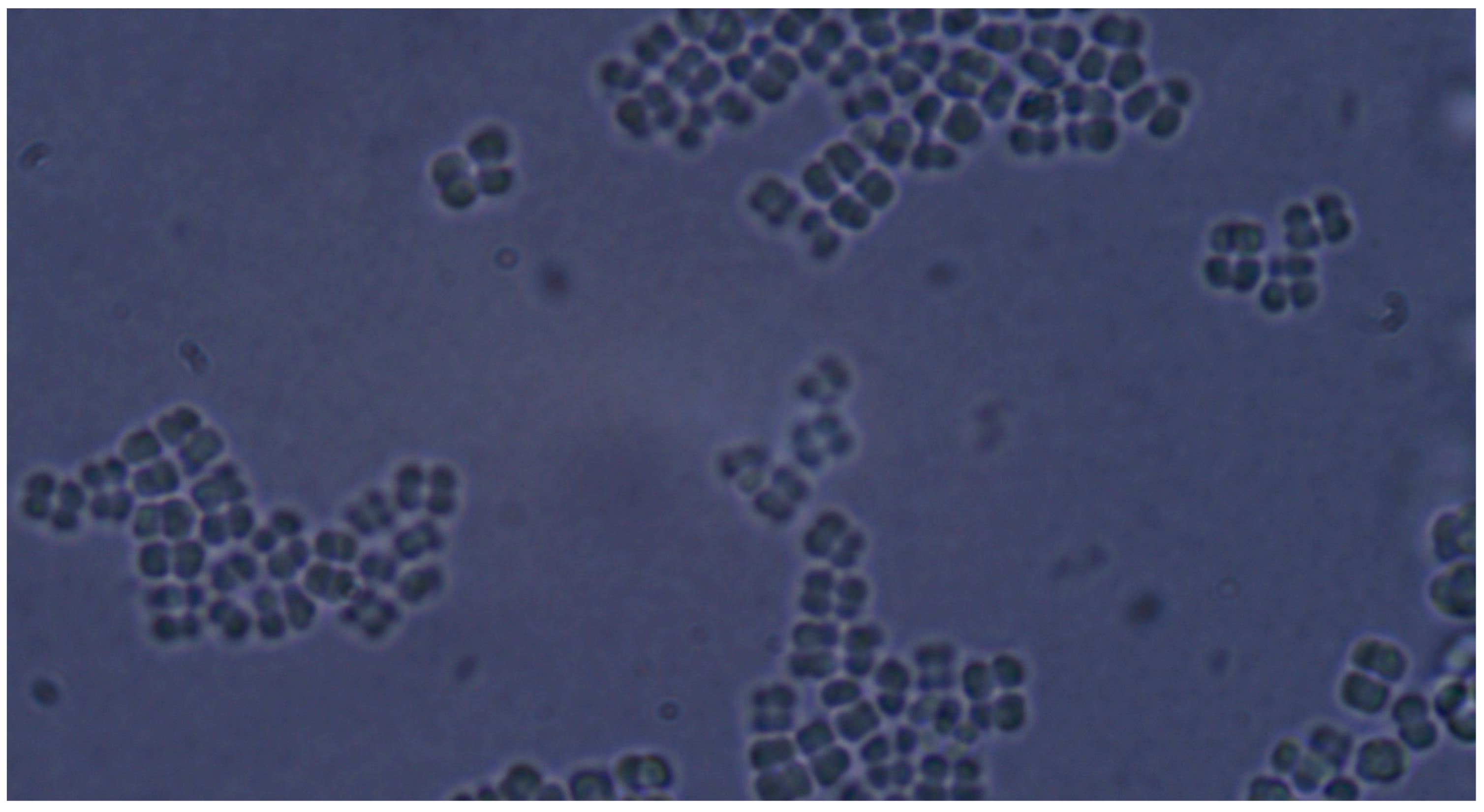 Pathogens 14 00327 g010 Pathogens 14 00327 g010